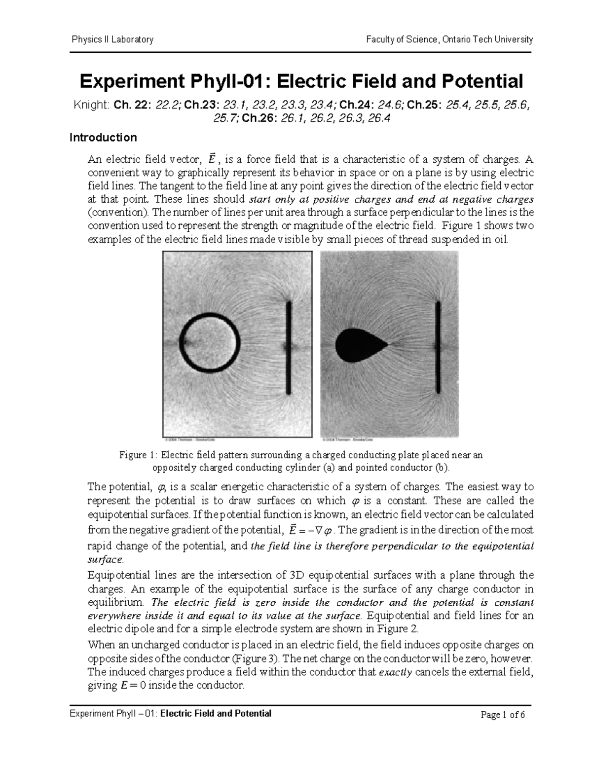 Electric Field - Lab Work - Experiment PhyII-01: Electric Field And ...