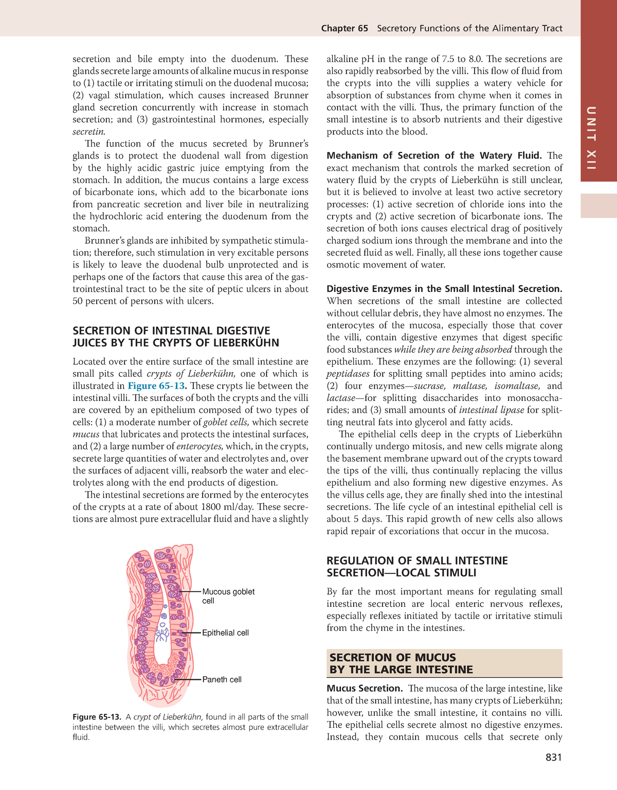 Guyton And Hall Medical Physiology 13nbsped 263 - Chapter 65 Secretory ...