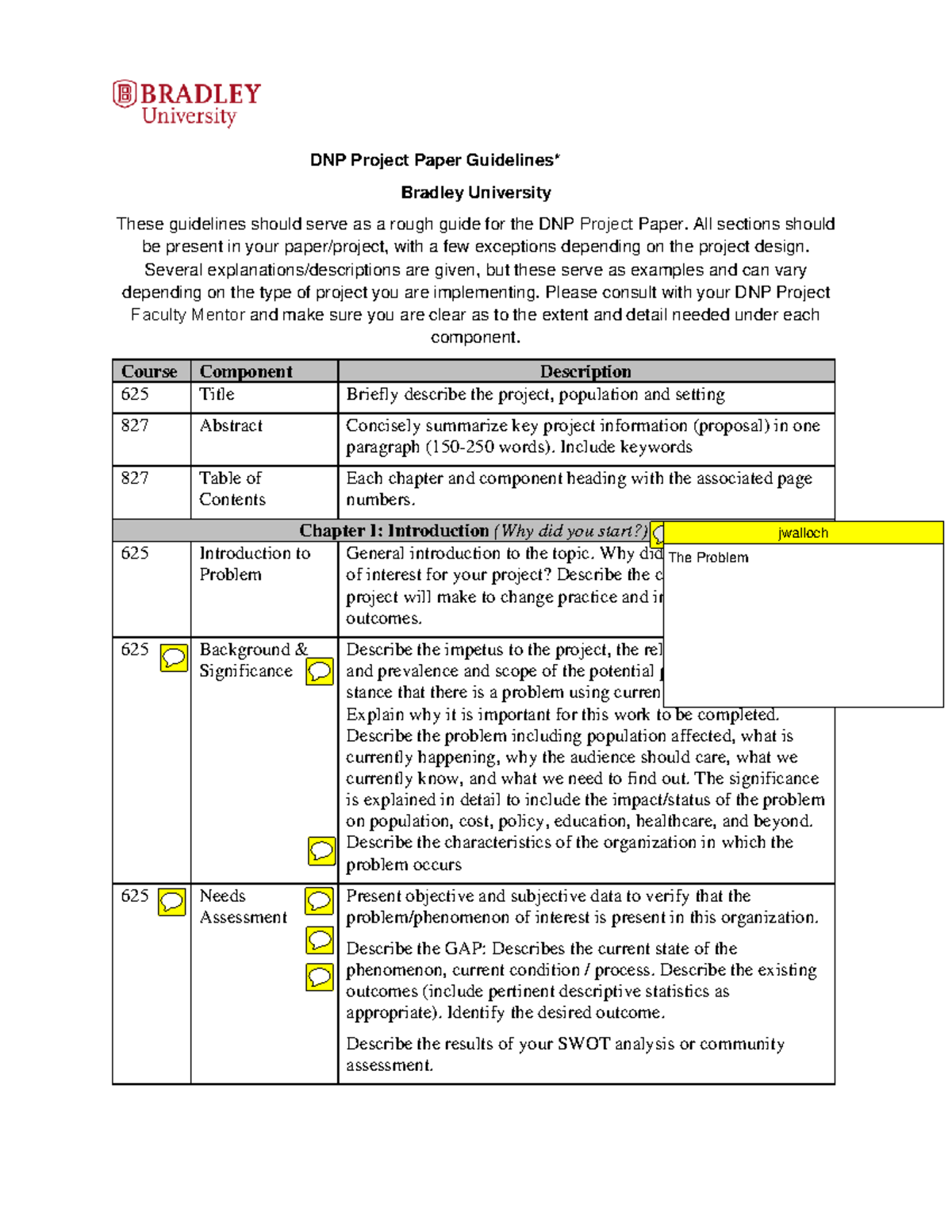 DNP Project Paper Guidelines c notes - DNP Project Paper Guidelines ...