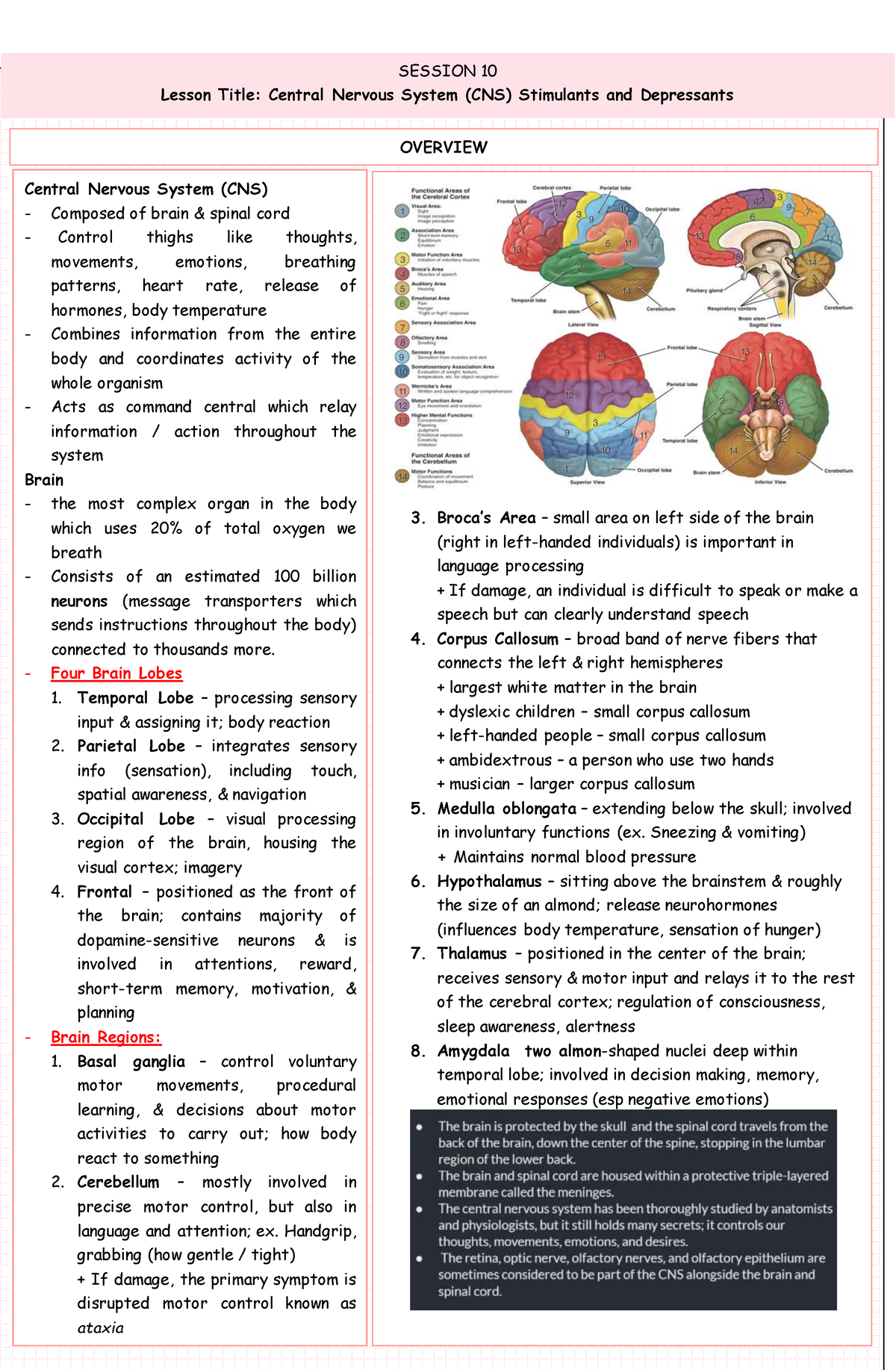 CNS STIMULANTS AND ANTI-DEPRESSANTS - Lesson Title: Central Nervous ...