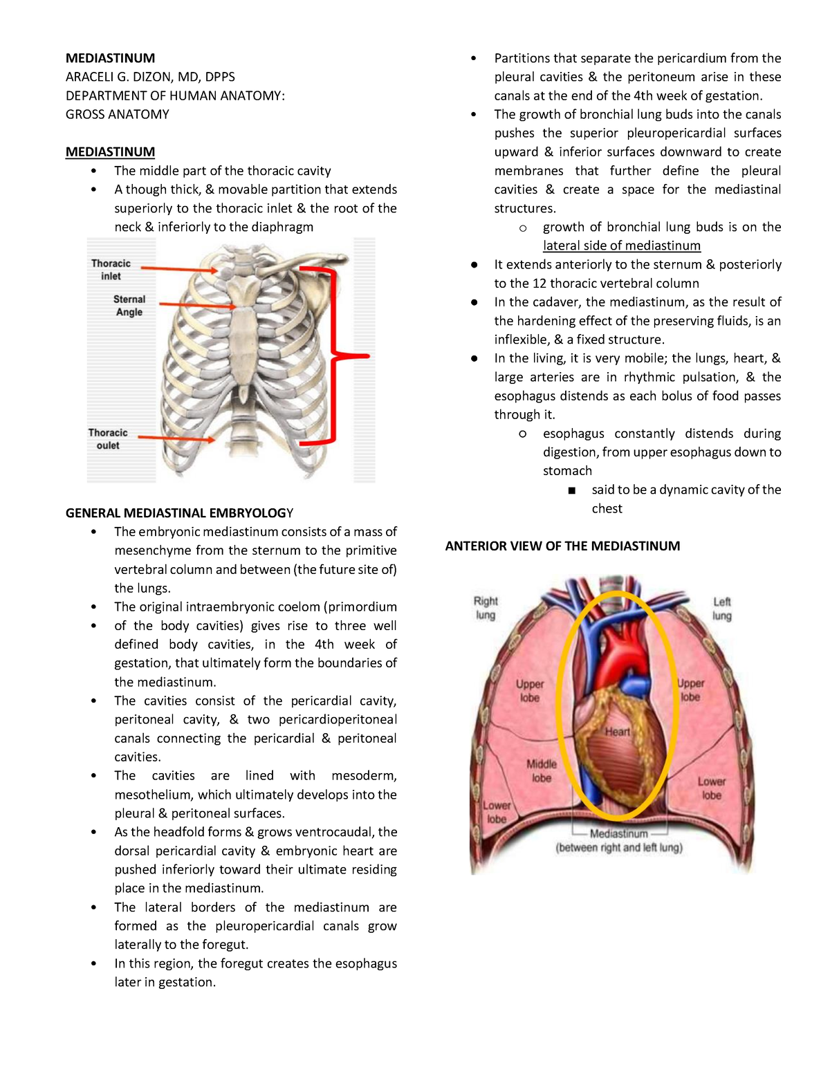 Gross Anatomy - Mediastinum - MEDIASTINUM ARACELI G. DIZON, MD, DPPS ...