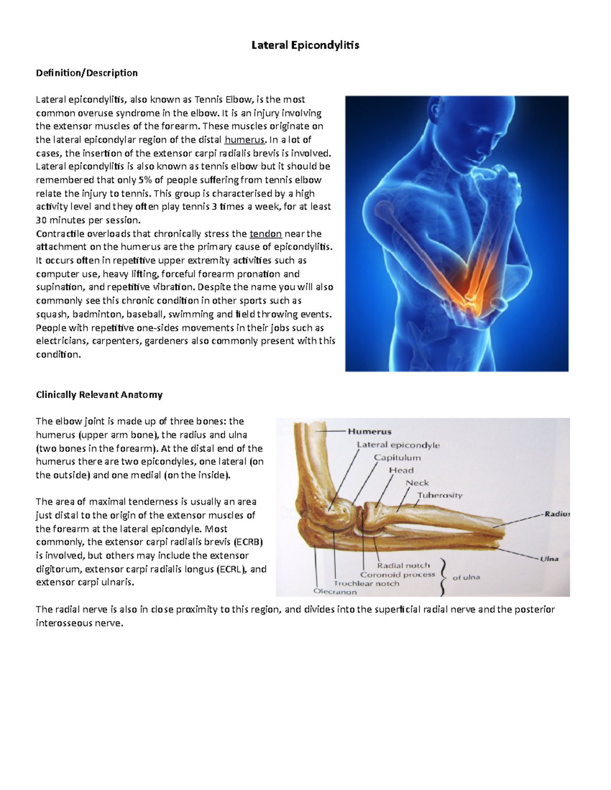 Epicondyle Definition Anatomy Bone - Bio 241 A P 1 Learning Anatomical ...