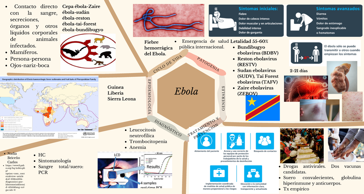 Ebola - Mapa conceptual y mental de Ébola en Enf. Tropicales UdG - C I ...
