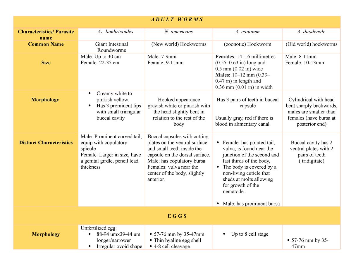 Characteristics - Parasitology notes - A D U L T W O R M S ...