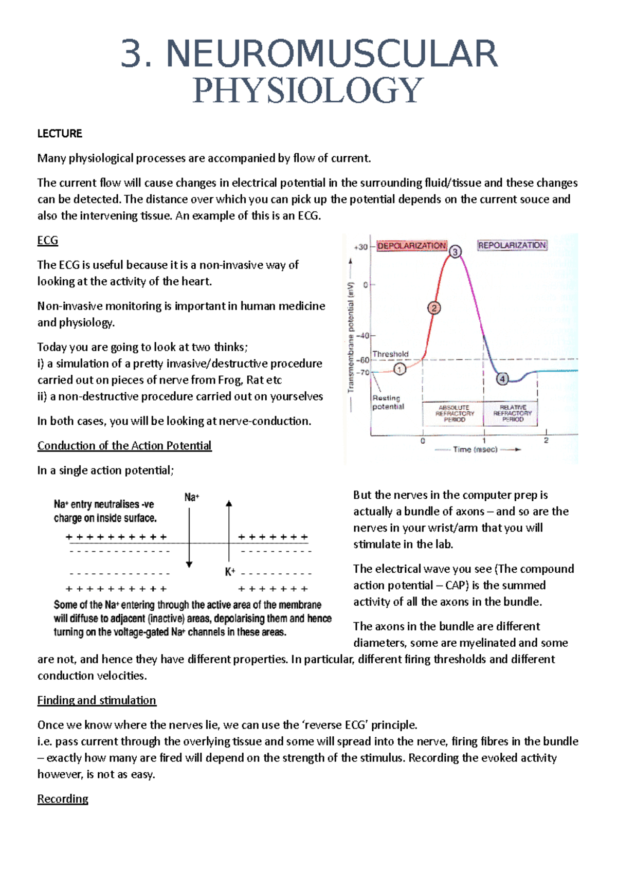 3. Neuromuscular Physiology - 3. NEUROMUSCULAR PHYSIOLOGY LECTURE Many ...