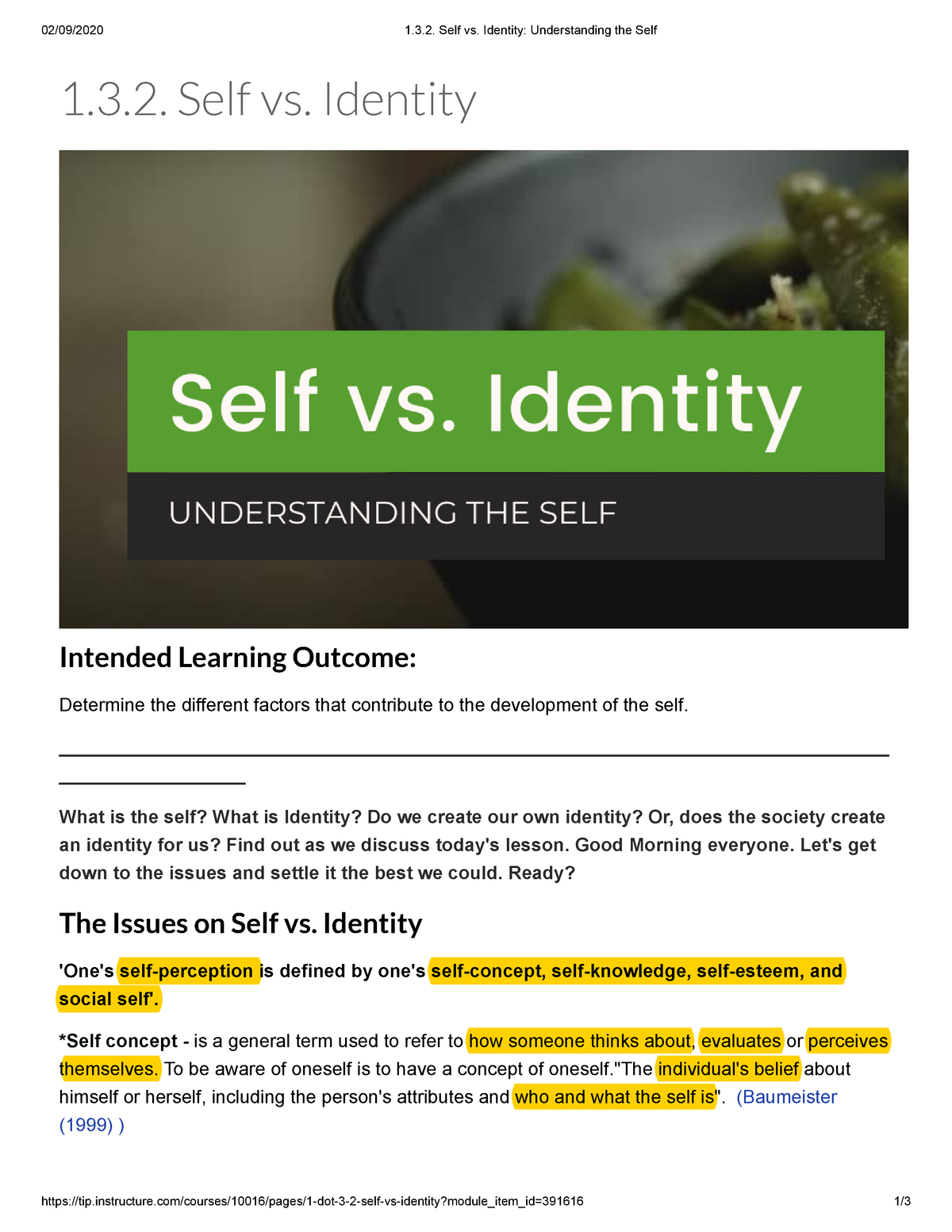 1-3-2-self-vs-identity-understanding-the-self-tip-studocu