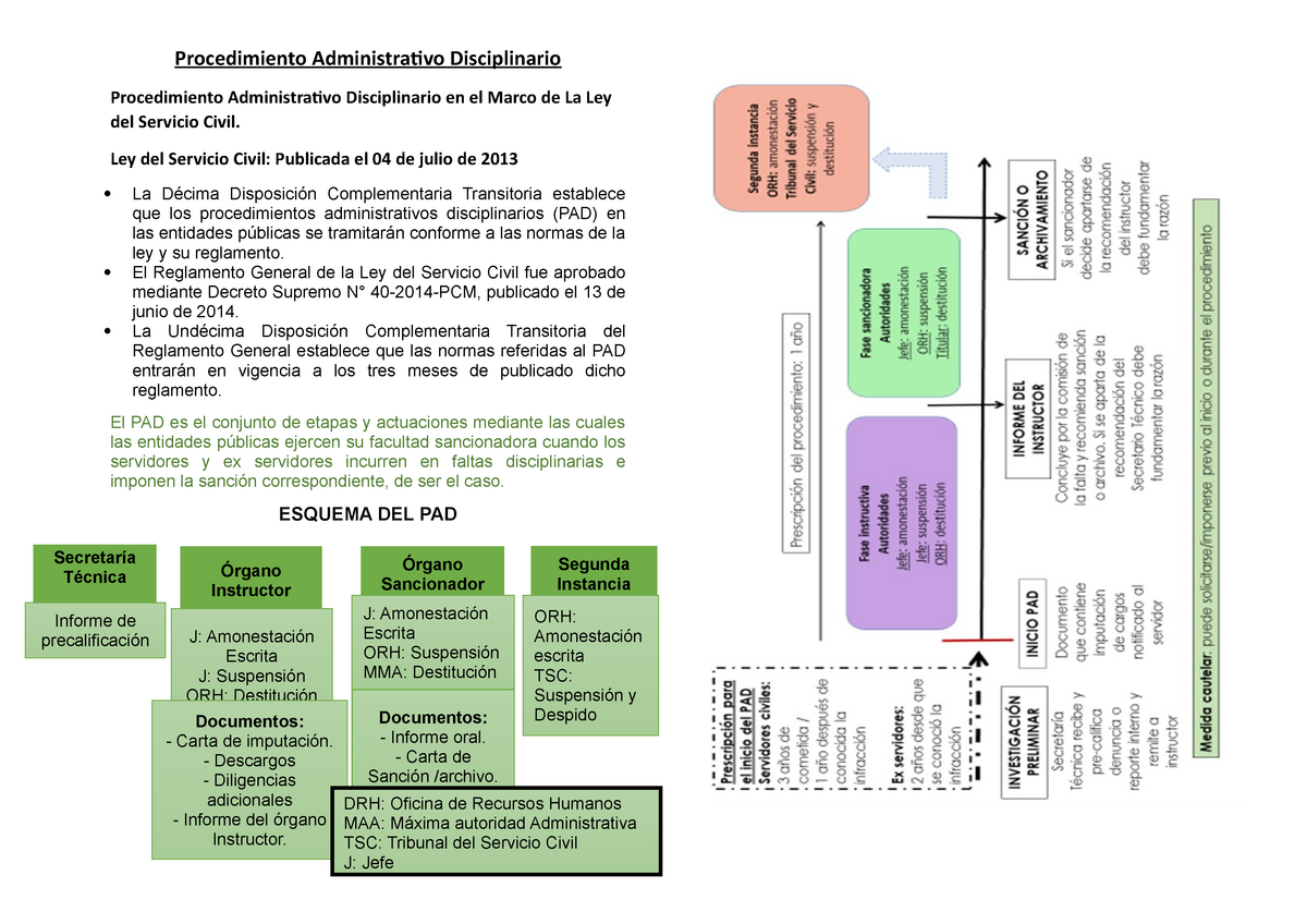 Procedimiento Administrativo Disciplinario - Procedimiento ...