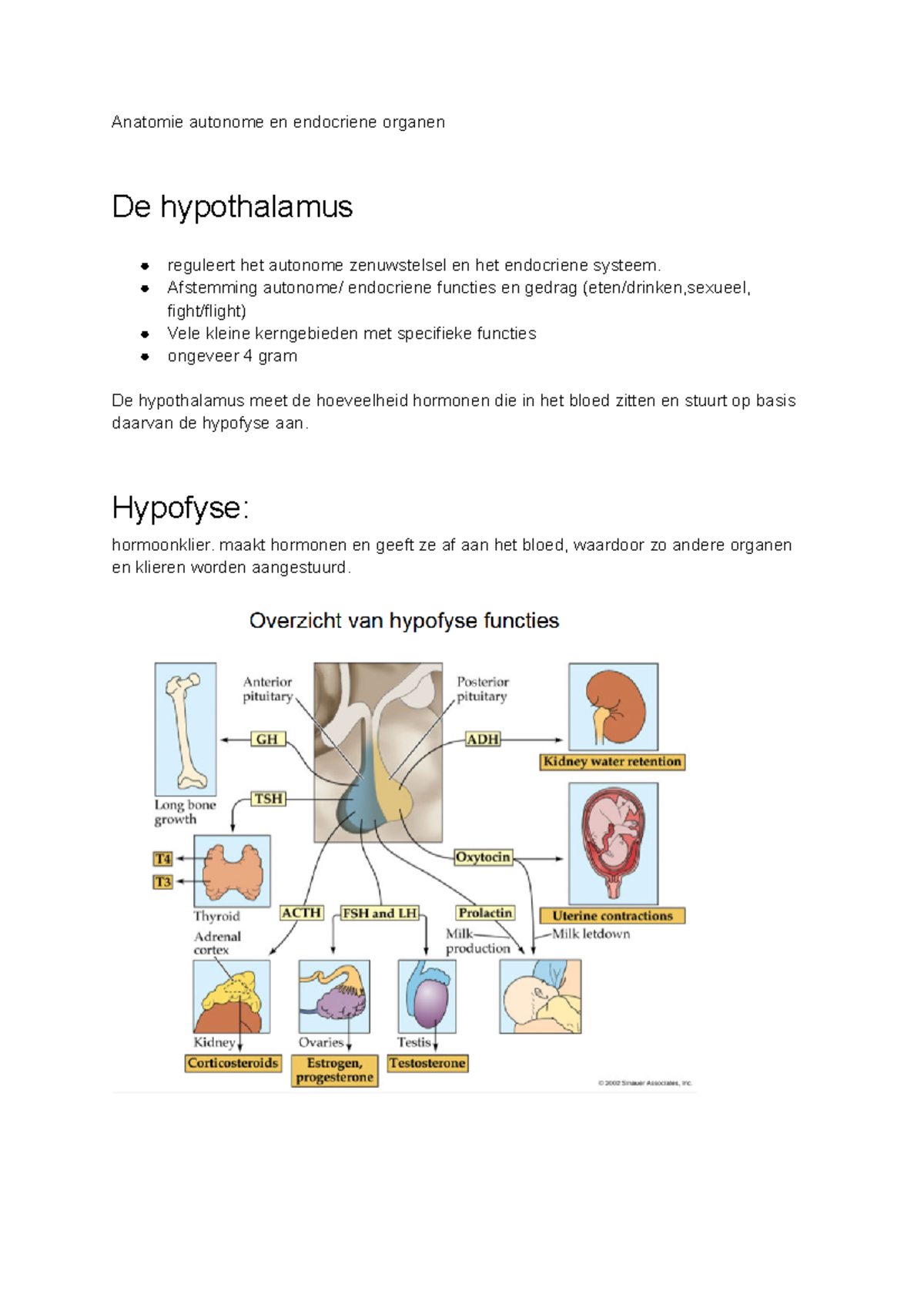 Anatomie Autonome En Endocriene Organen - Afstemming Autonome ...