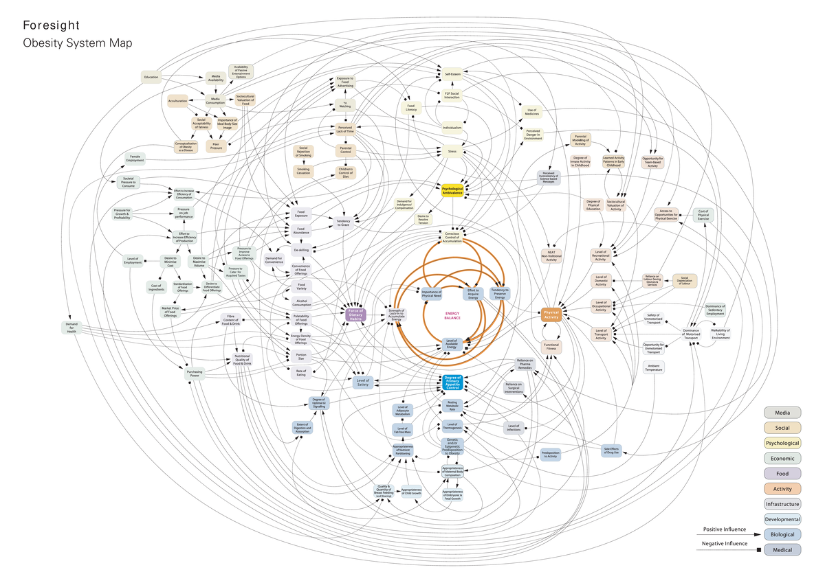 Obesity map full hi res - map met alle oorzaken die verbonden zijn aan ...