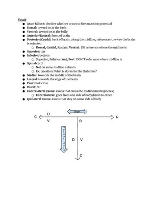 Worksheet for Kent Berridge 2021-1 - Worksheet for Kent Berridge’s ...