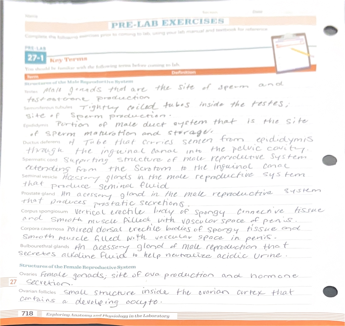 Lab. Ex 27 - Lab Understanding and Recall Questions - Cream EXERCISES ...