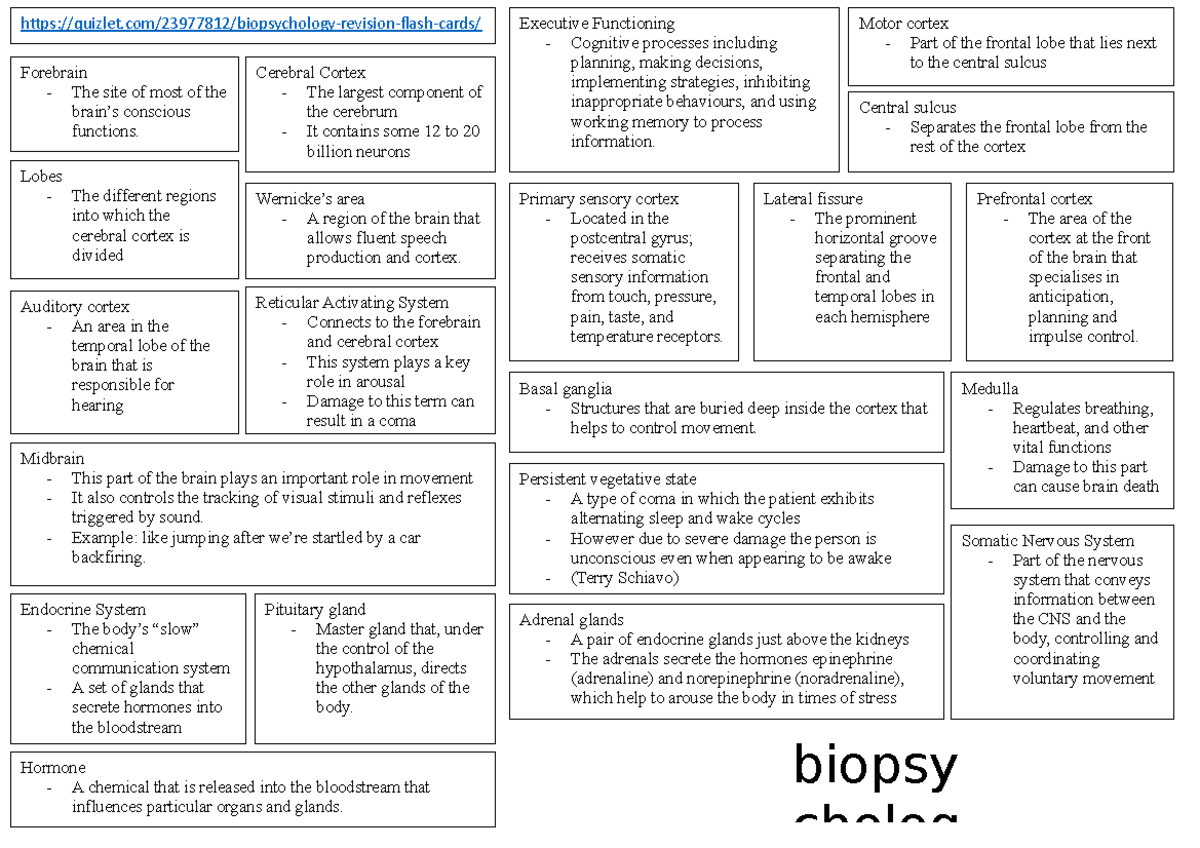 Quizlet Biopsych Revision 4 - Biopsy Cholog Adrenal Glands - A Pair Of ...