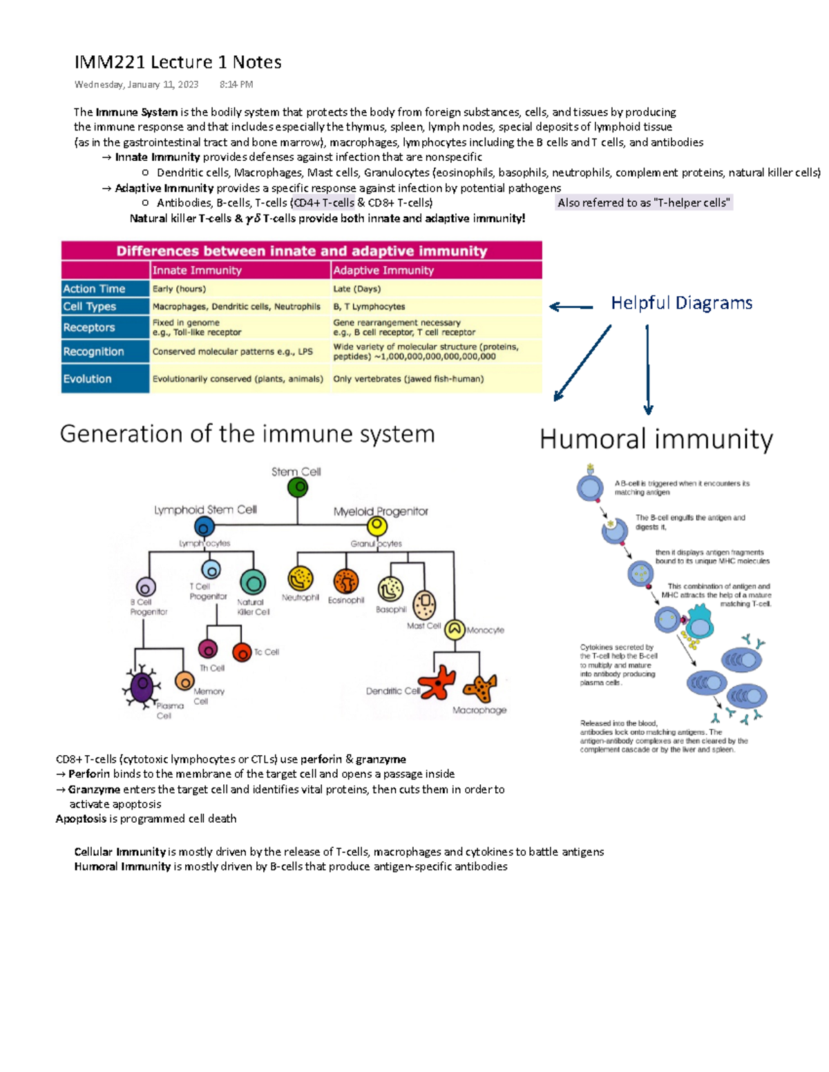 IMM221 Lecture 1 (Volunteer Notes) - The Immune System is the bodily ...