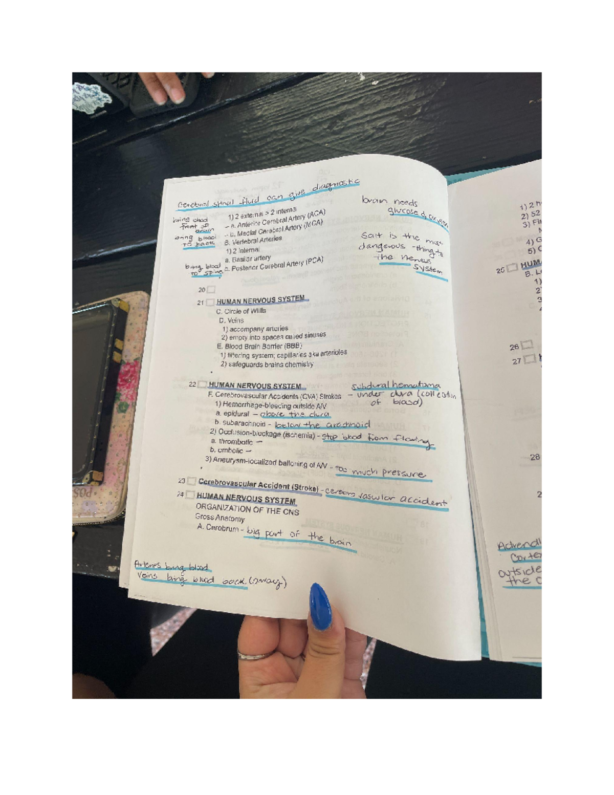 Untitled document - The Human Nervous system - 390 PSY - Studocu