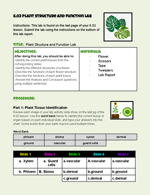 6.03 Lab plants structure and function lab