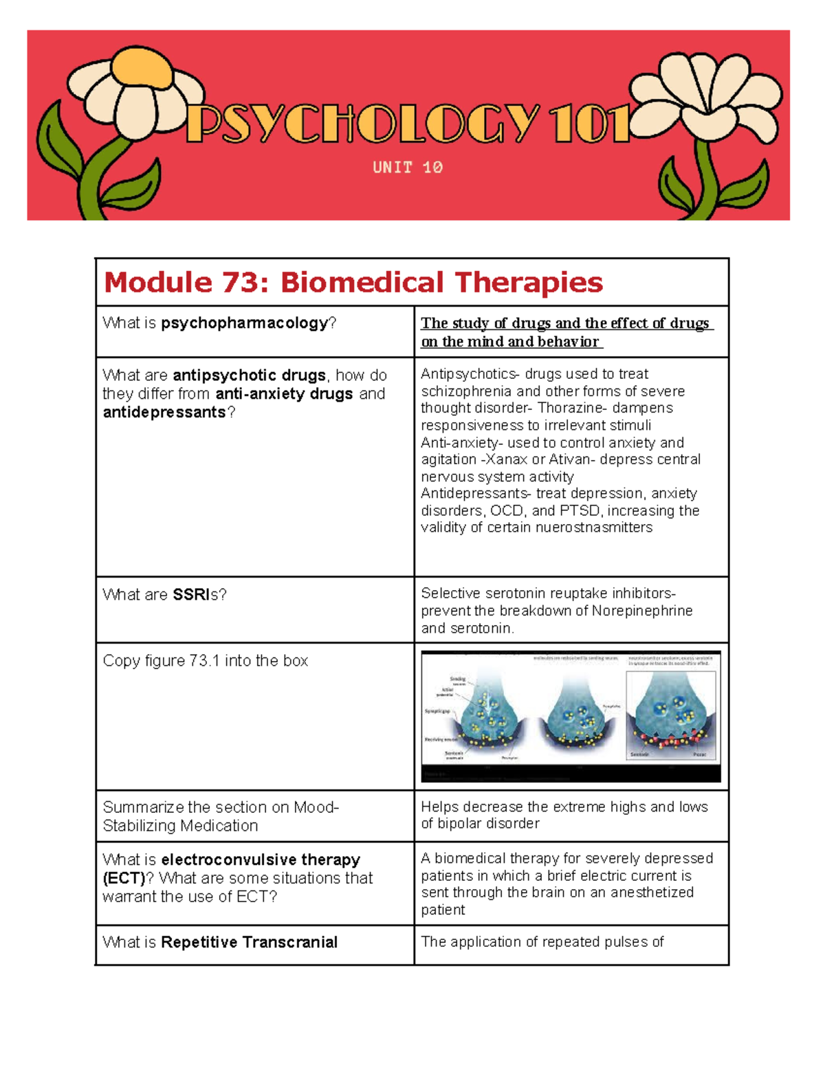 Copy Of Unit 10 (8) Module 73 Biomedical Therapies - Module 73 ...