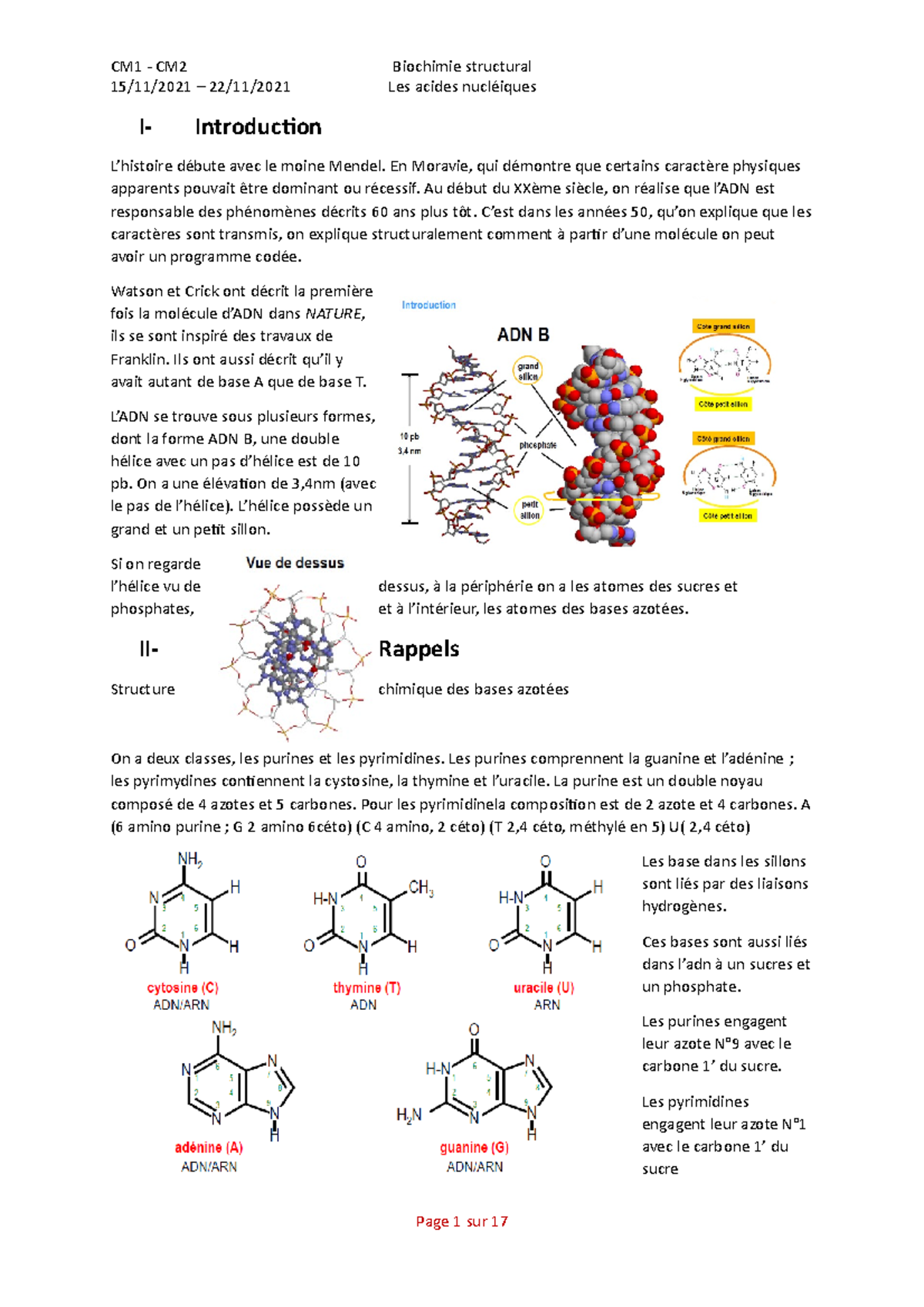 Les Acides Nucléiques - Notes De Cours 1, 2 - Biochimie Structurale ...