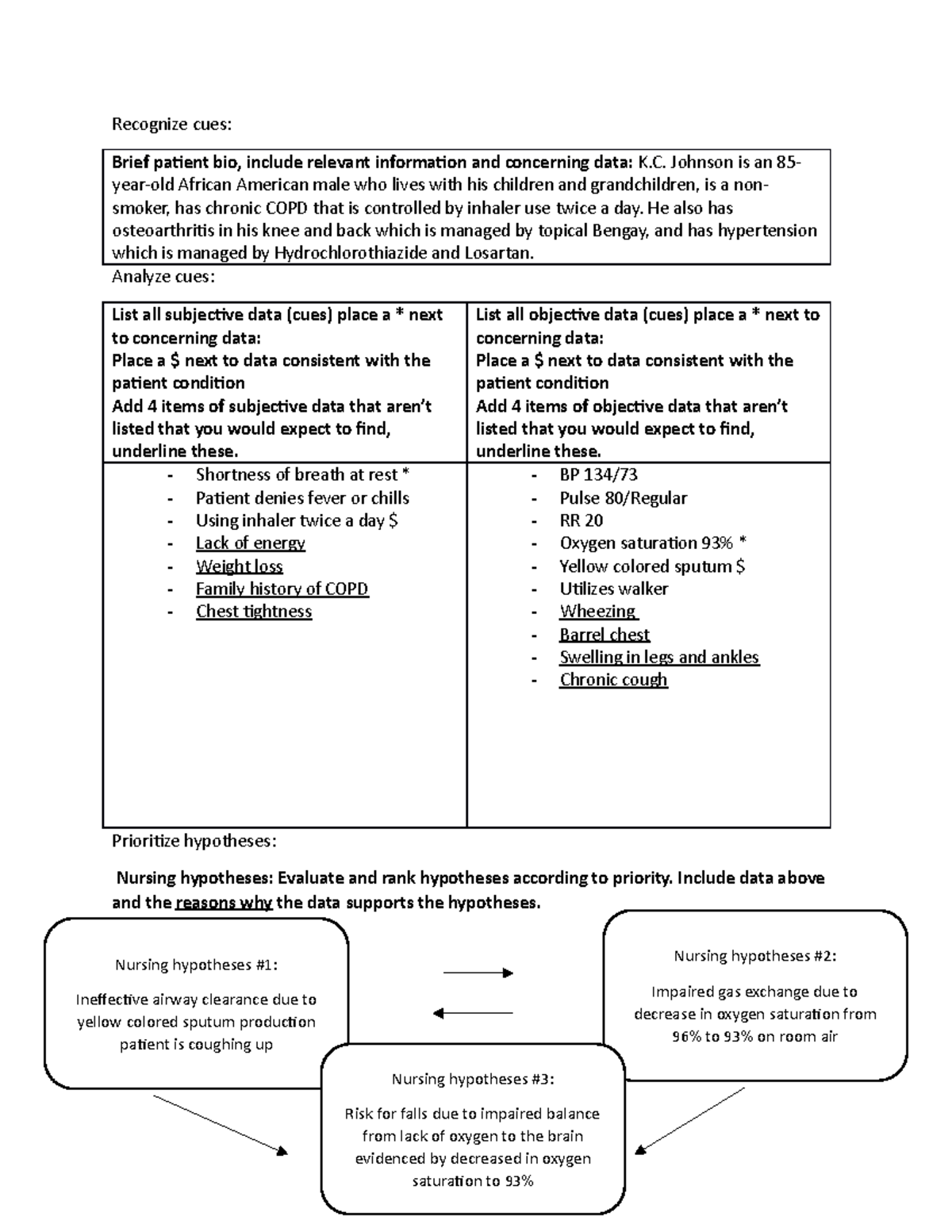 Care Plan 1 spring Recognize cues Brief patient bio, include