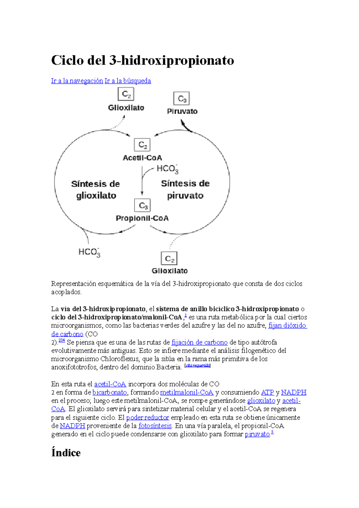 Ciclo del 3hidroxipropionato La vía del 3hidroxipropionato, el