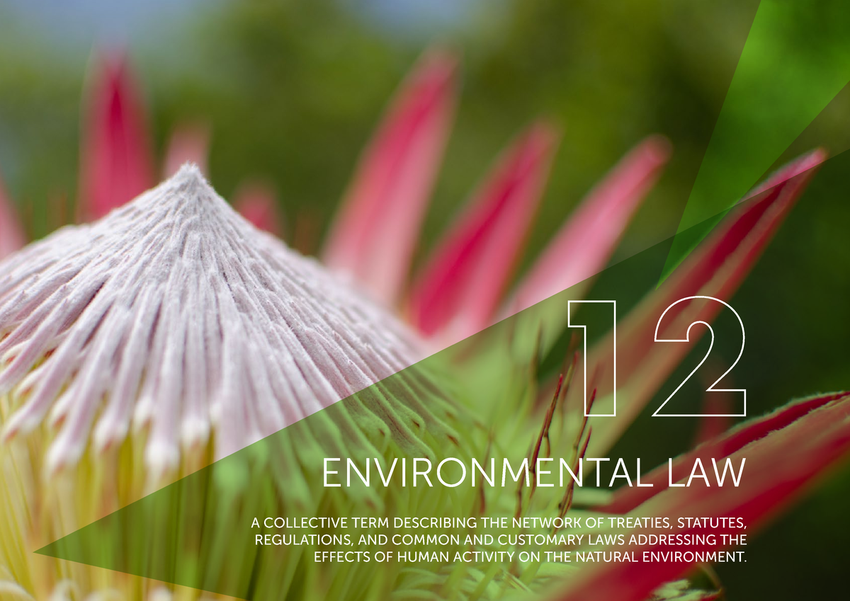 chapter-12-dbsa-2020-environmental-law-environmental-law-12-a