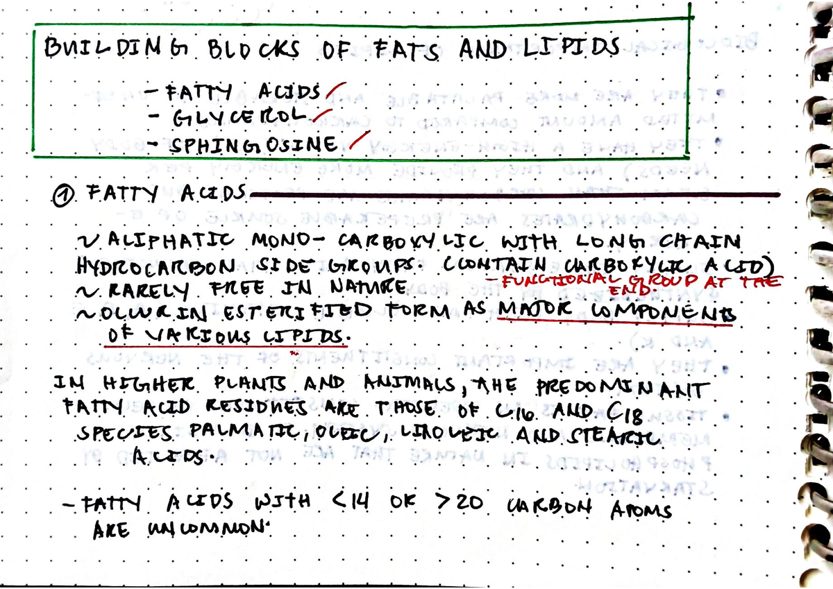 building-blocks-of-lipids-11-chemistry-studocu