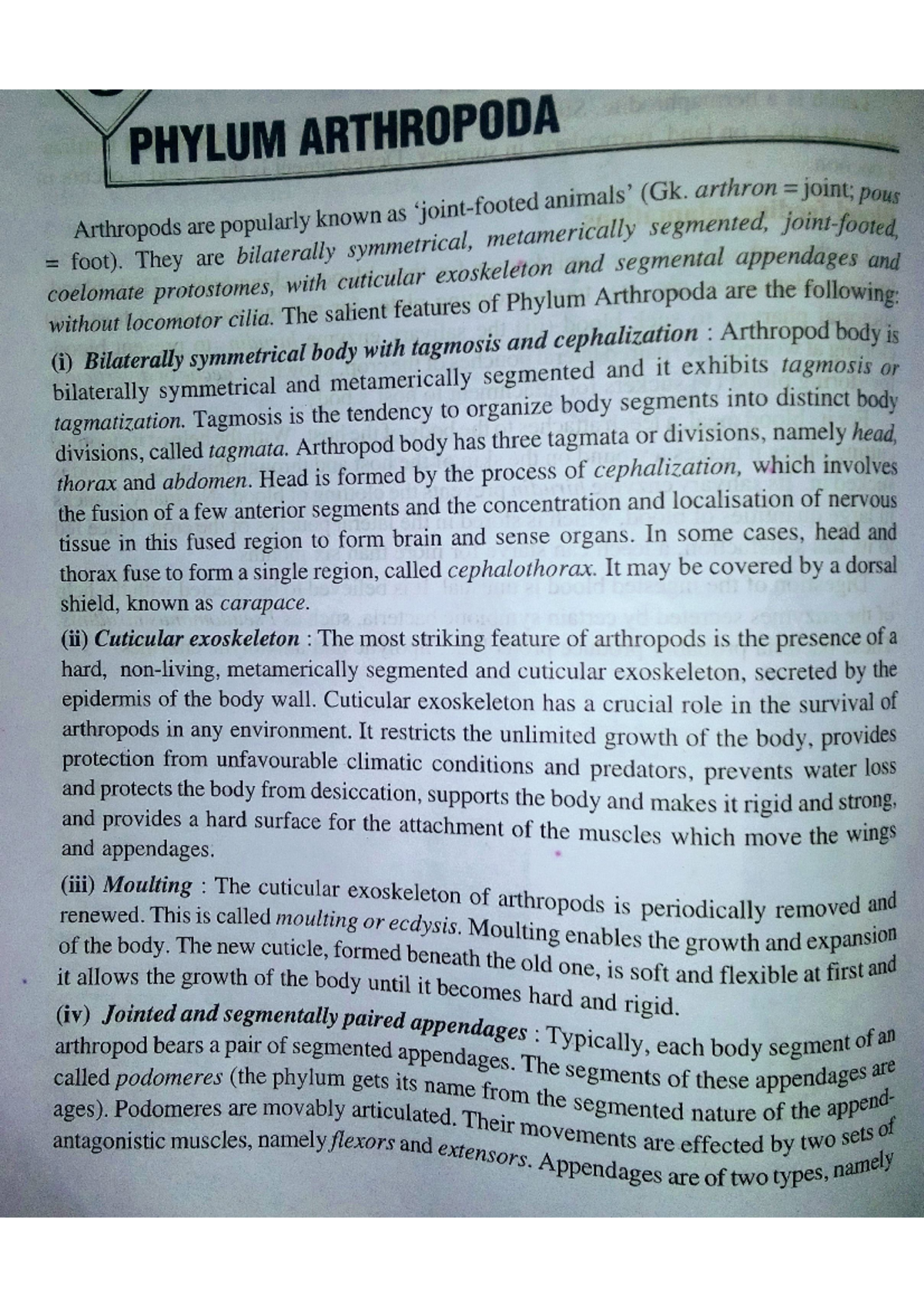 Phylum Arthropoda - Non chordates diversity - complementary zoology ...