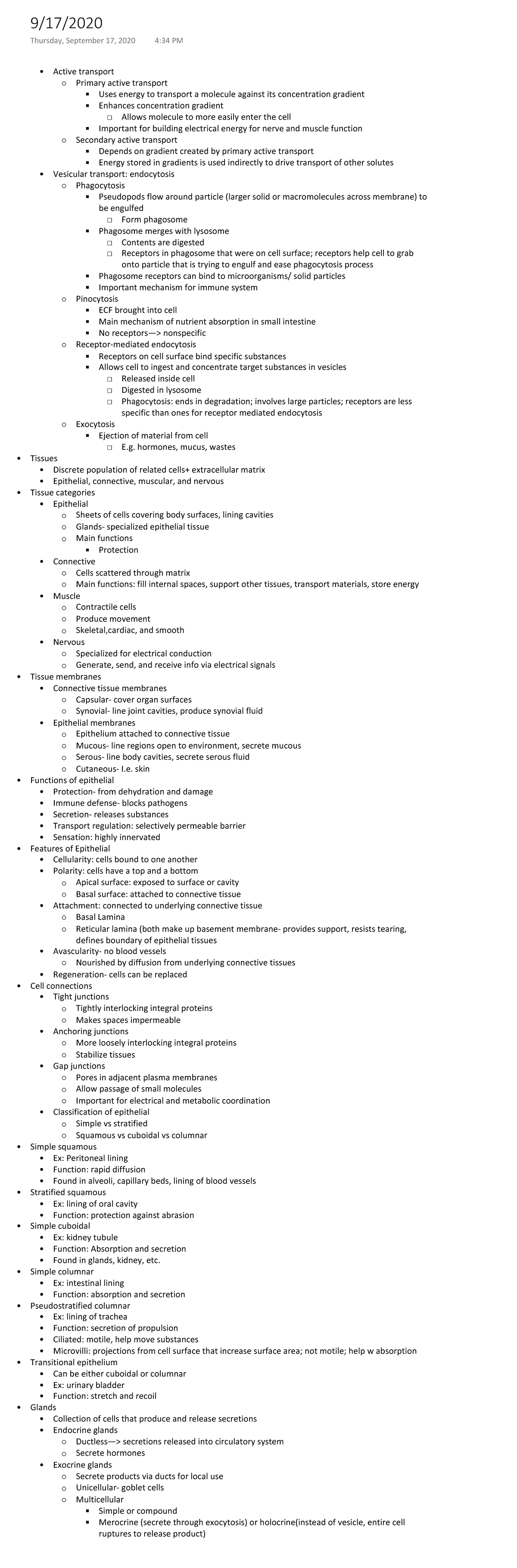 A P Transport And Tissues Active Transport Primary Active Transport 