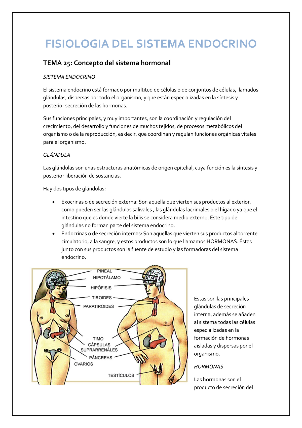 Fisiología Del Sistema Endocrino Fisiologia Del Sistema Endocrino Tema 25 Concepto Del 