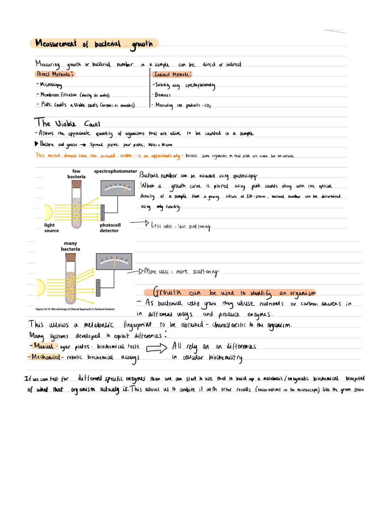 Measure Of Bacterial Growth - 4BM011 - Studocu