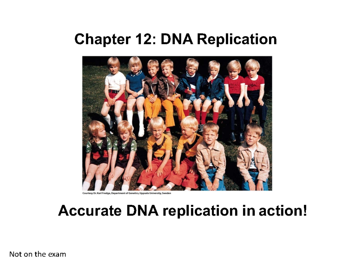 Mbg2040 Lec 19 20 Replication Of Dna And Chromosomes Chapter 12 Dna Replication Accurate