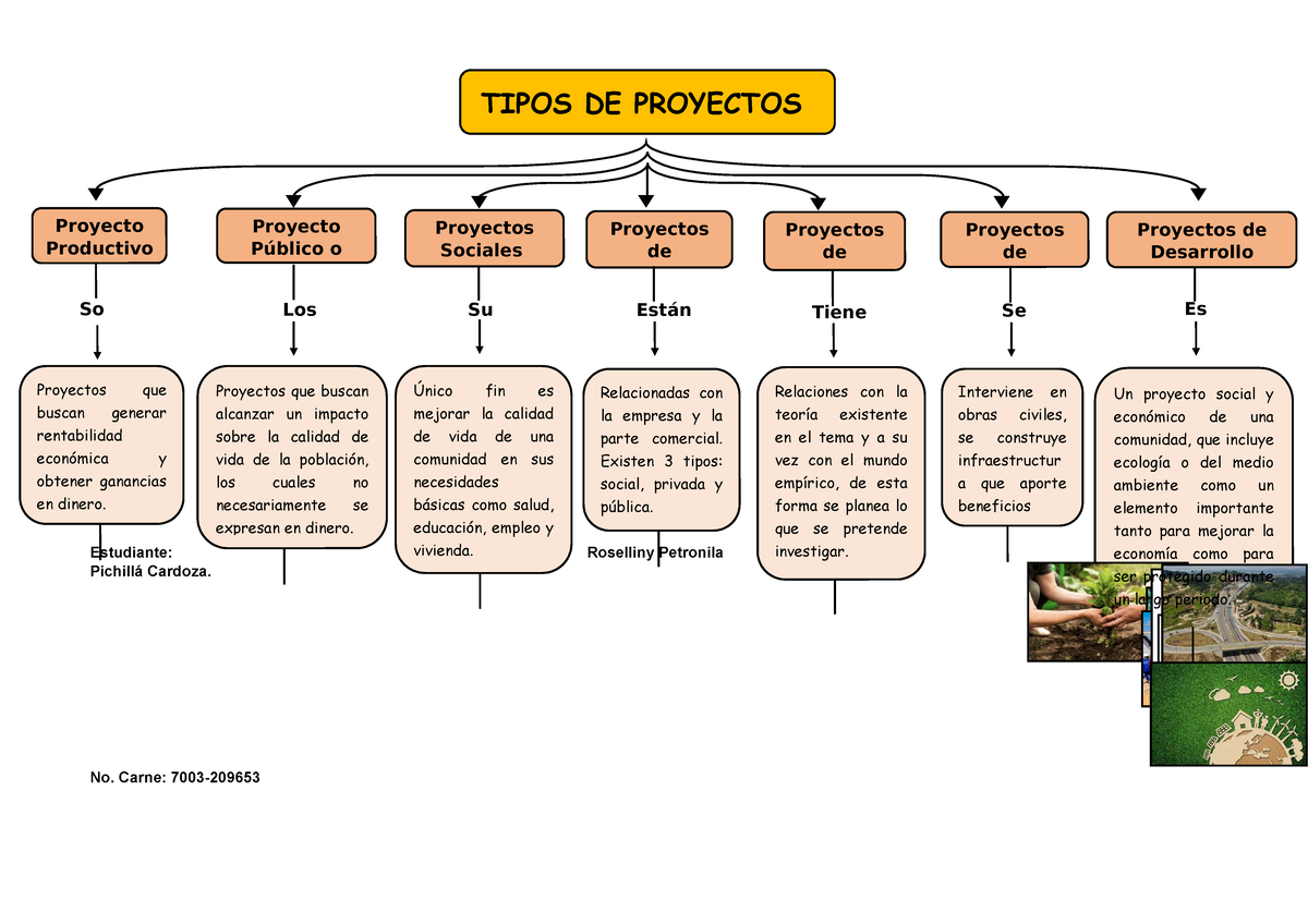 Esquema de los tipos de proyectos en Trabajo Social - Estudiante
