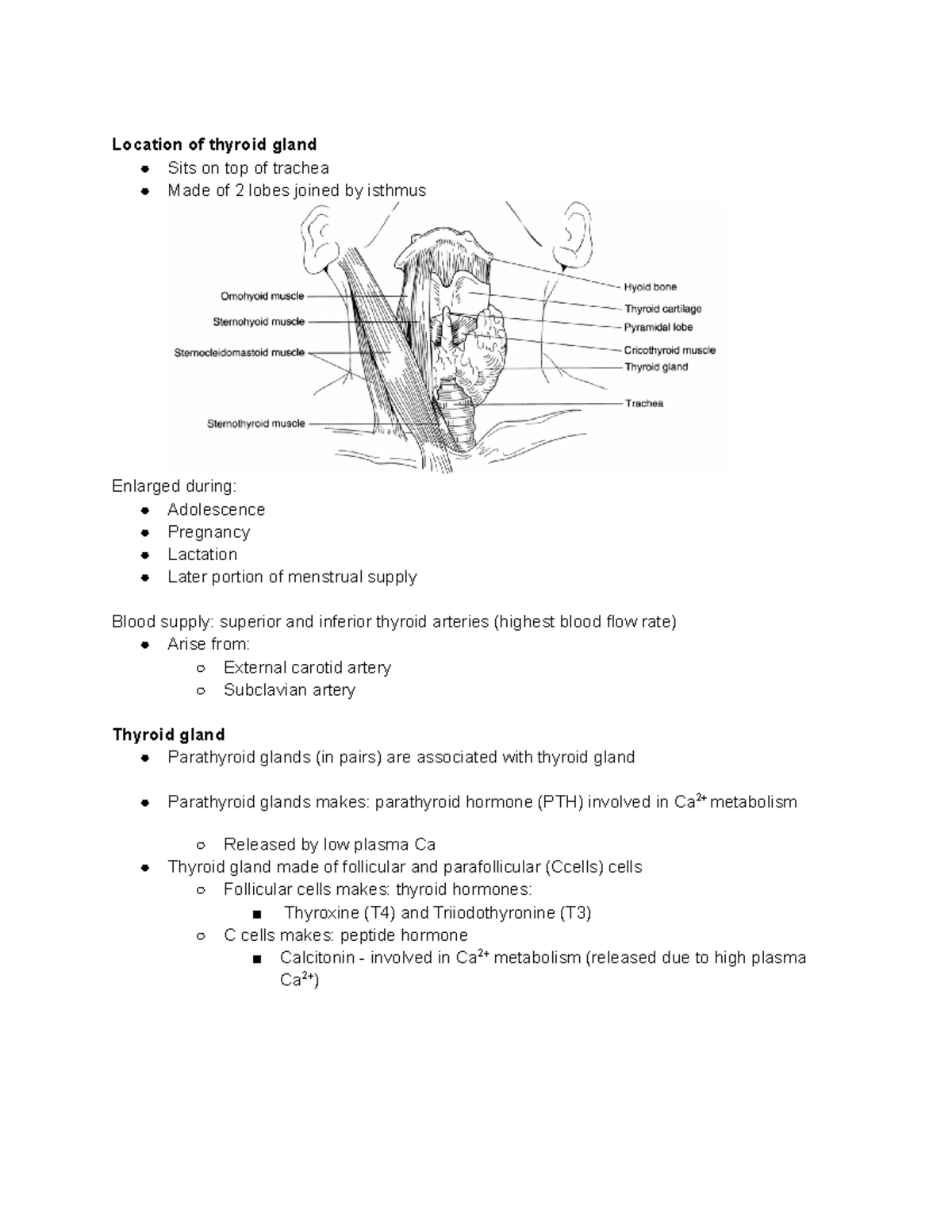 Thyroid gland - MBBS2 - Location of thyroid gland Sits on top of ...