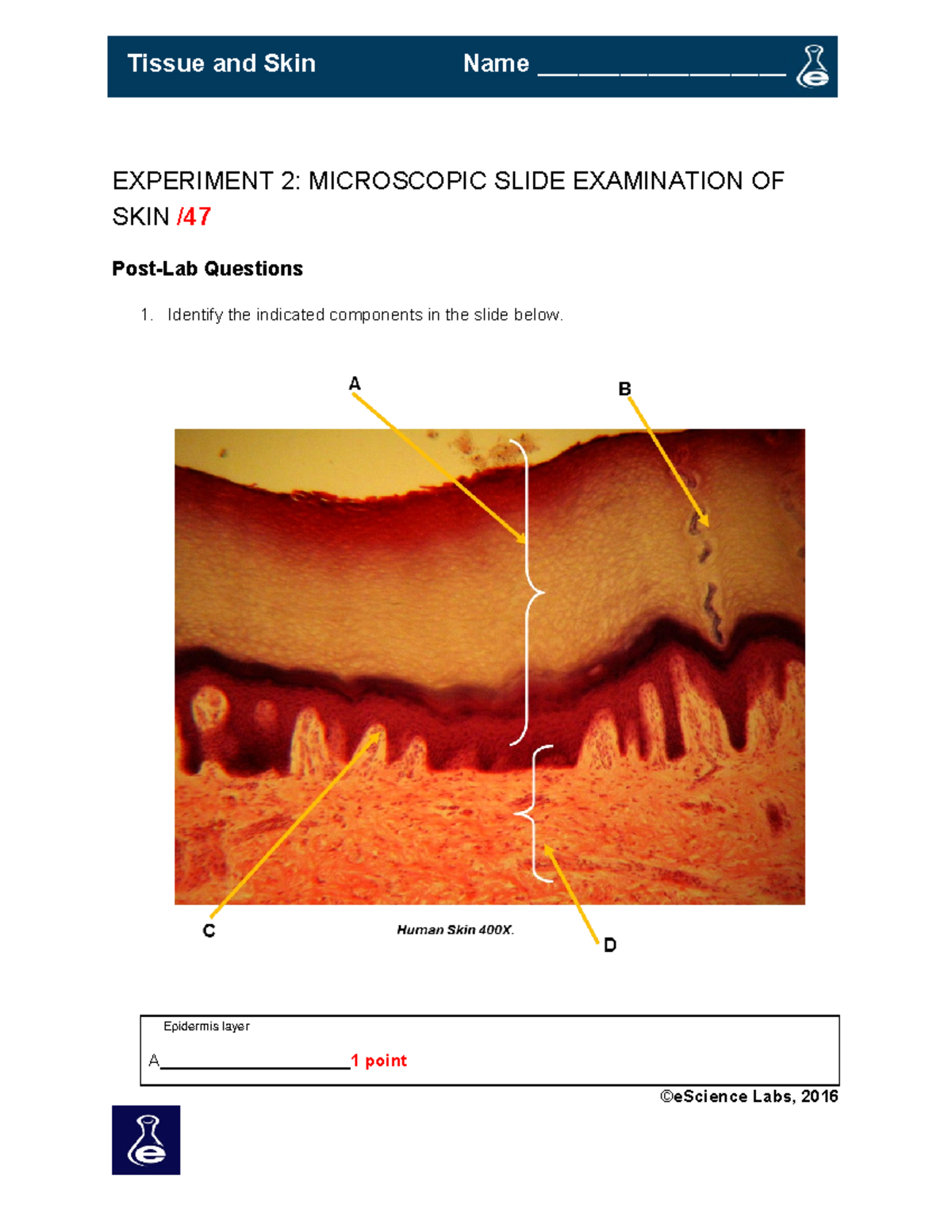 Lab 04 grade scope - Lab work for module 4. Includes the work and ...