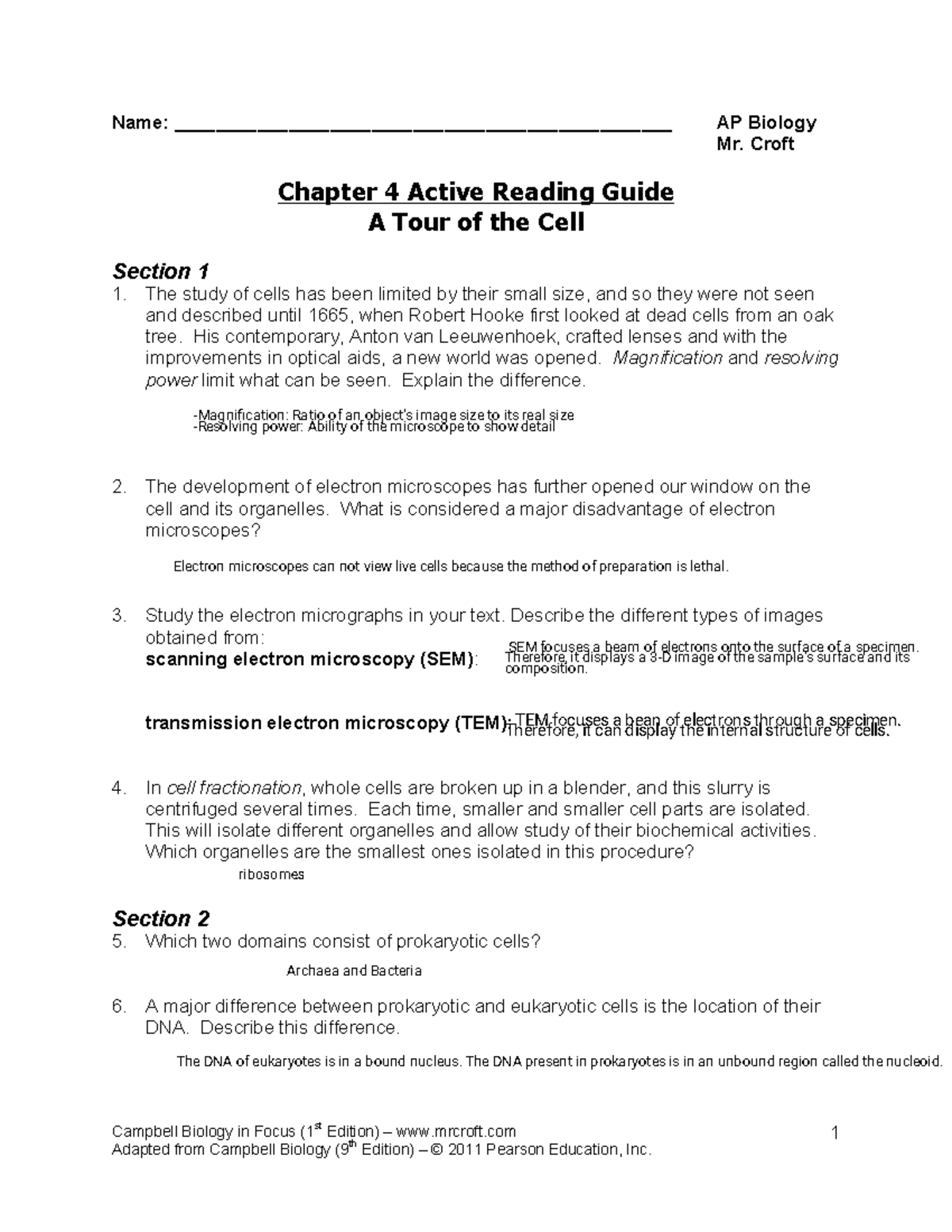 Kami Export - Chapter 4 Active Reading Guide - Campbell Biology in ...