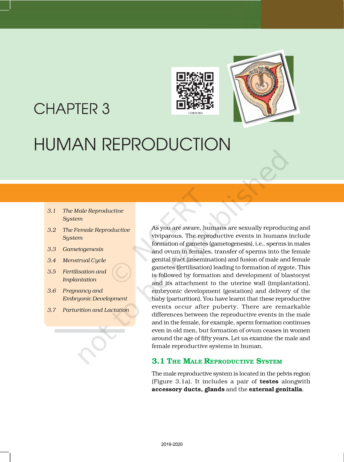 CBSE Class 12 Ncert Book Biology Human Reproduction Chapter 3 As You   Thumb 1200 1609 