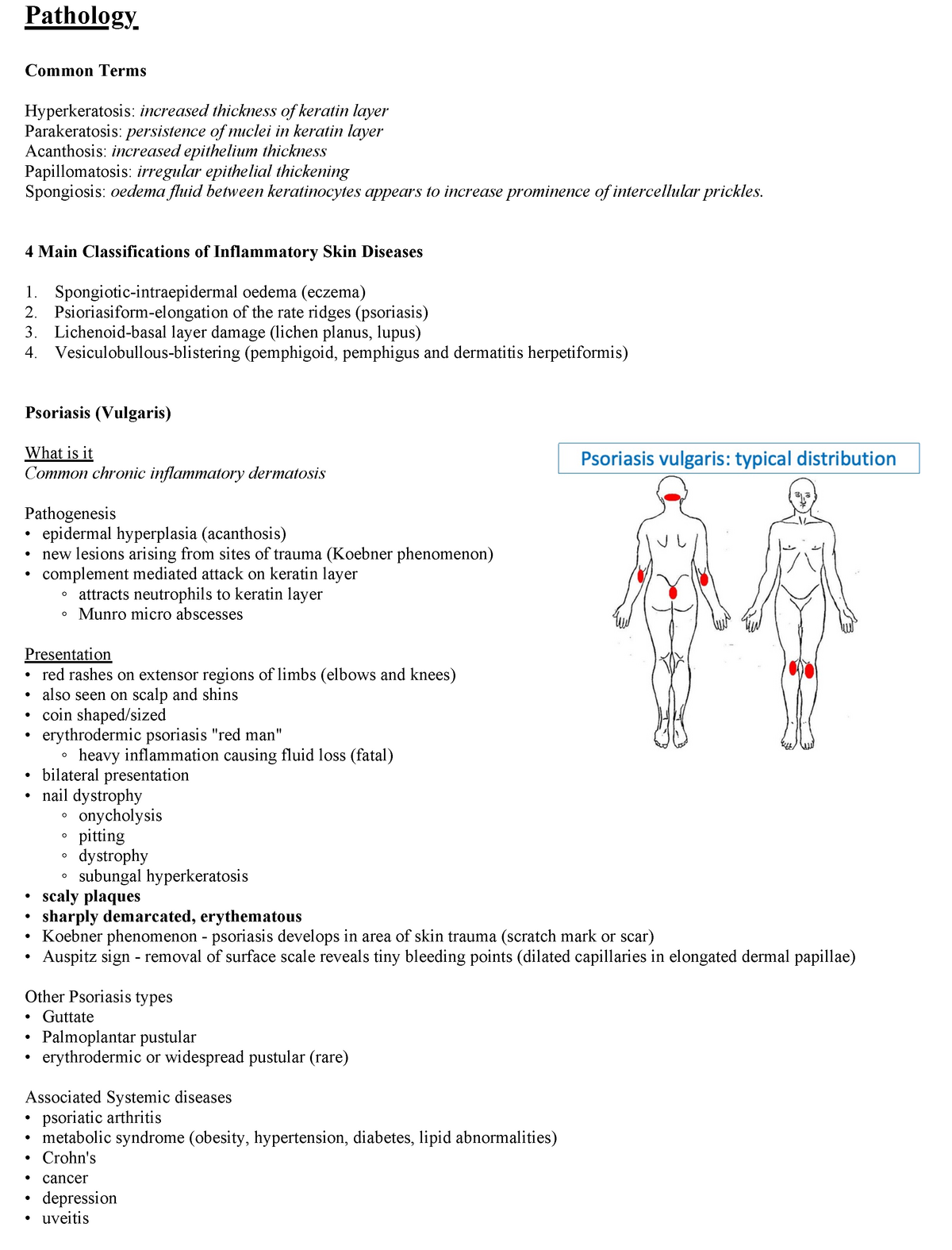 Derm. Summary - Pathology - Pathology Common Terms Hyperkeratosis ...