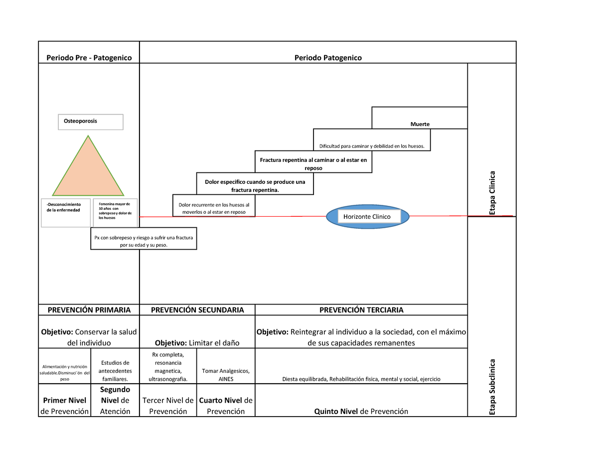 Historia Natural De La Enfermedad Osteoporosis Alimentaci N Y Nutrici N Saludable N Del Peso