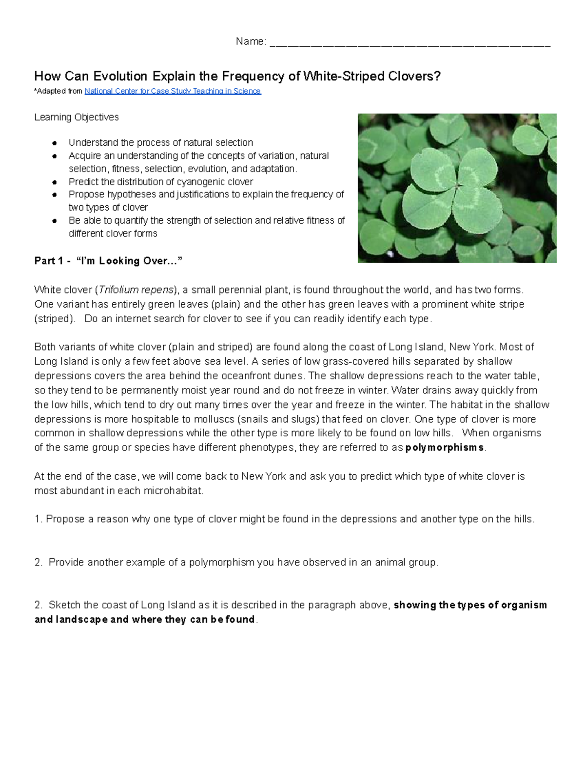 Case Study WhiteStriped Clover Name ________________________________________________ How Can