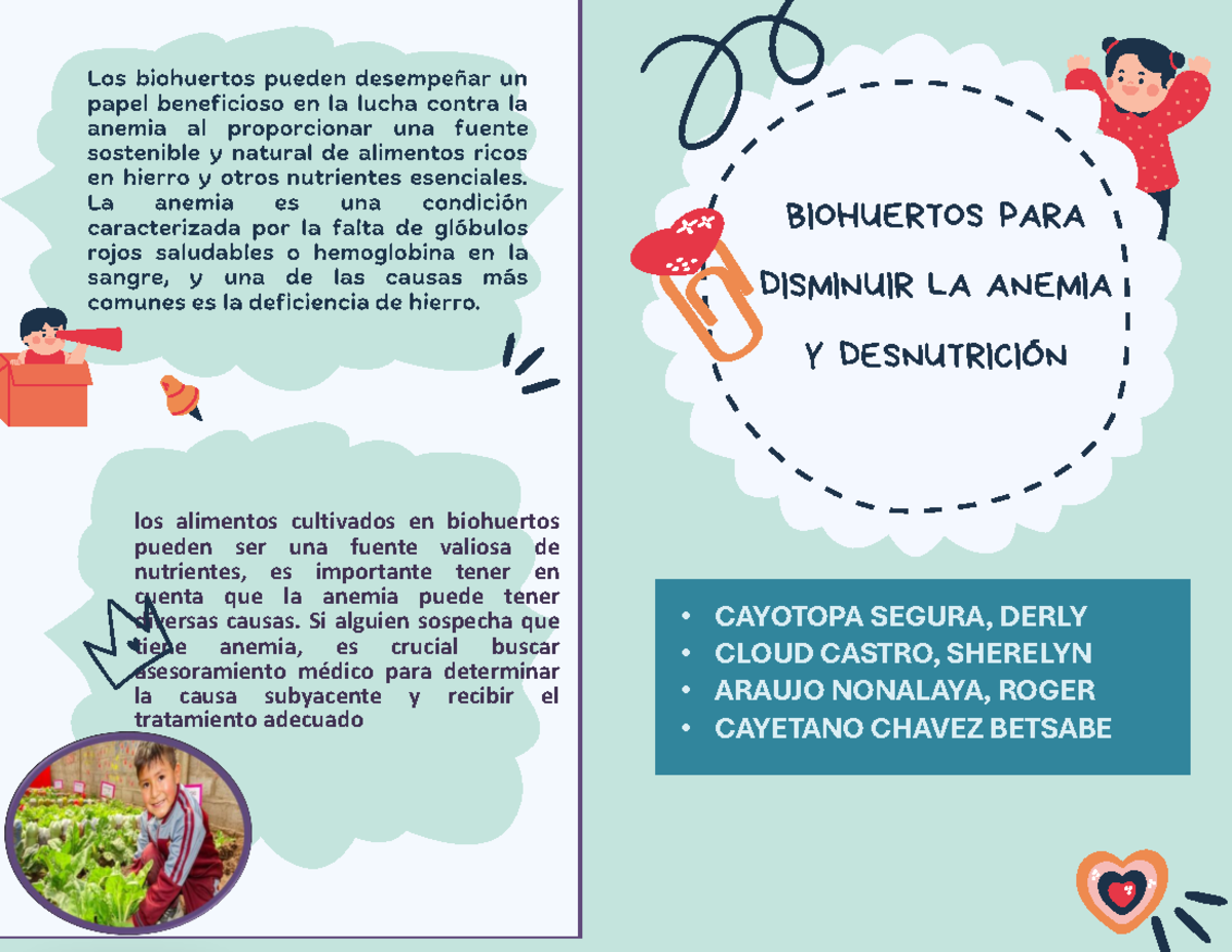 Pochaina - derderder - BIOHUERTOS PARA DISMINUIR LA ANEMIA Y ...