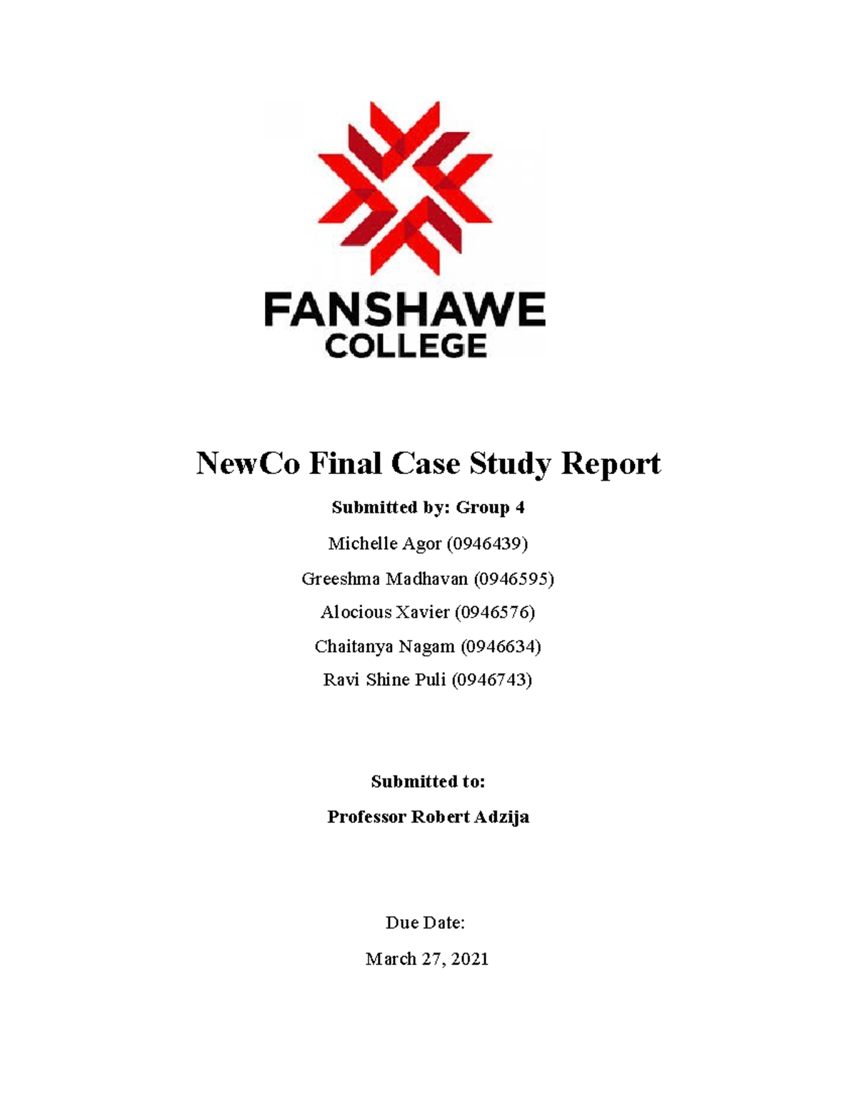 new-co-case-study-group-4-newco-final-case-study-report-submitted-by-group-4-michelle-agor