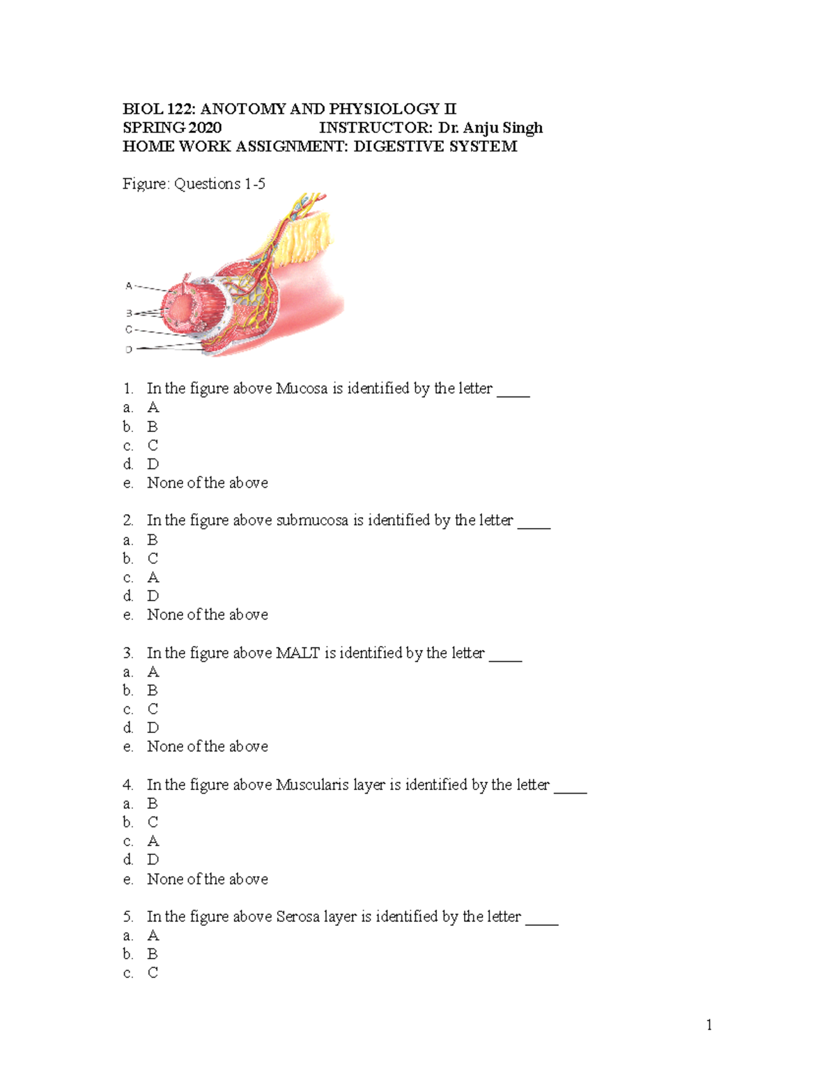 homework Digestive System - BIOL 122: ANOTOMY AND PHYSIOLOGY II SPRING ...