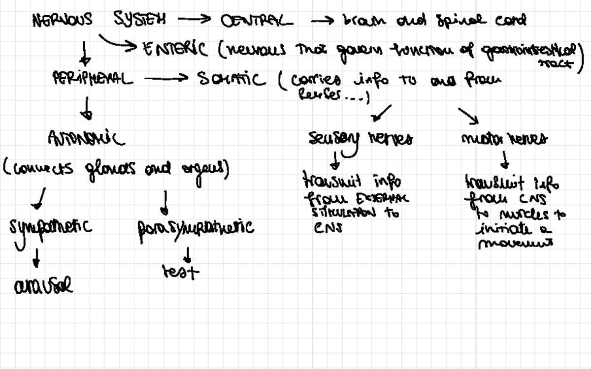 2 - Bio Basis - Summary Of Chapter 2 (Atkinson And Hilgard's Introduction To Psychology ...