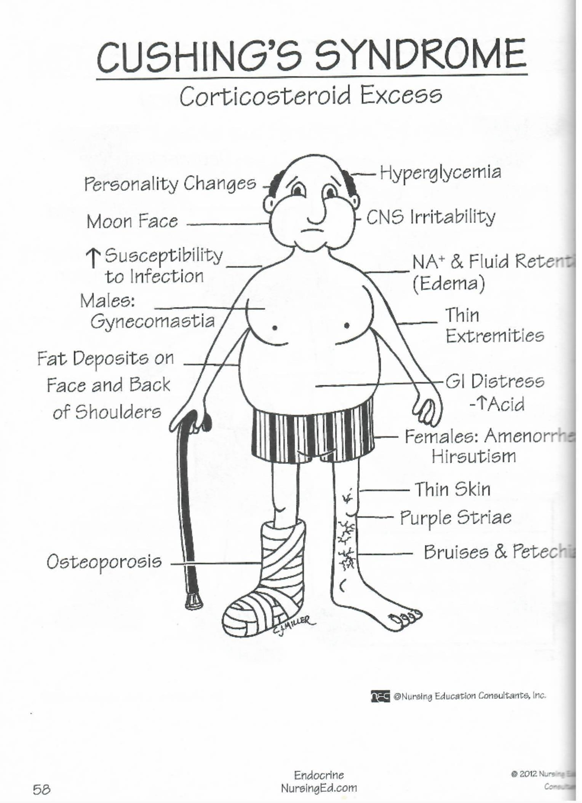 Cushing's Syndrome Graphic - NU 508 - Studocu