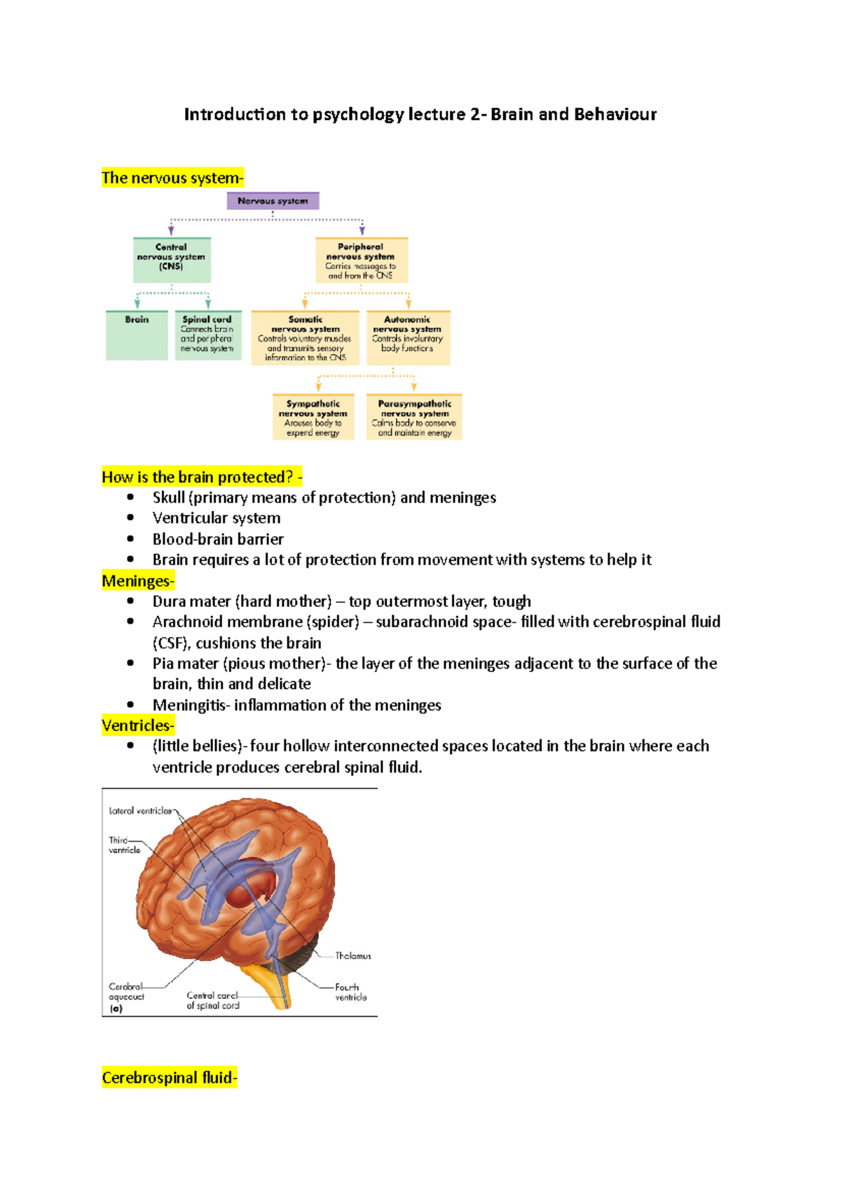 Brain And Behaviour - Introduction To Psychology Lecture 2- Brain And ...