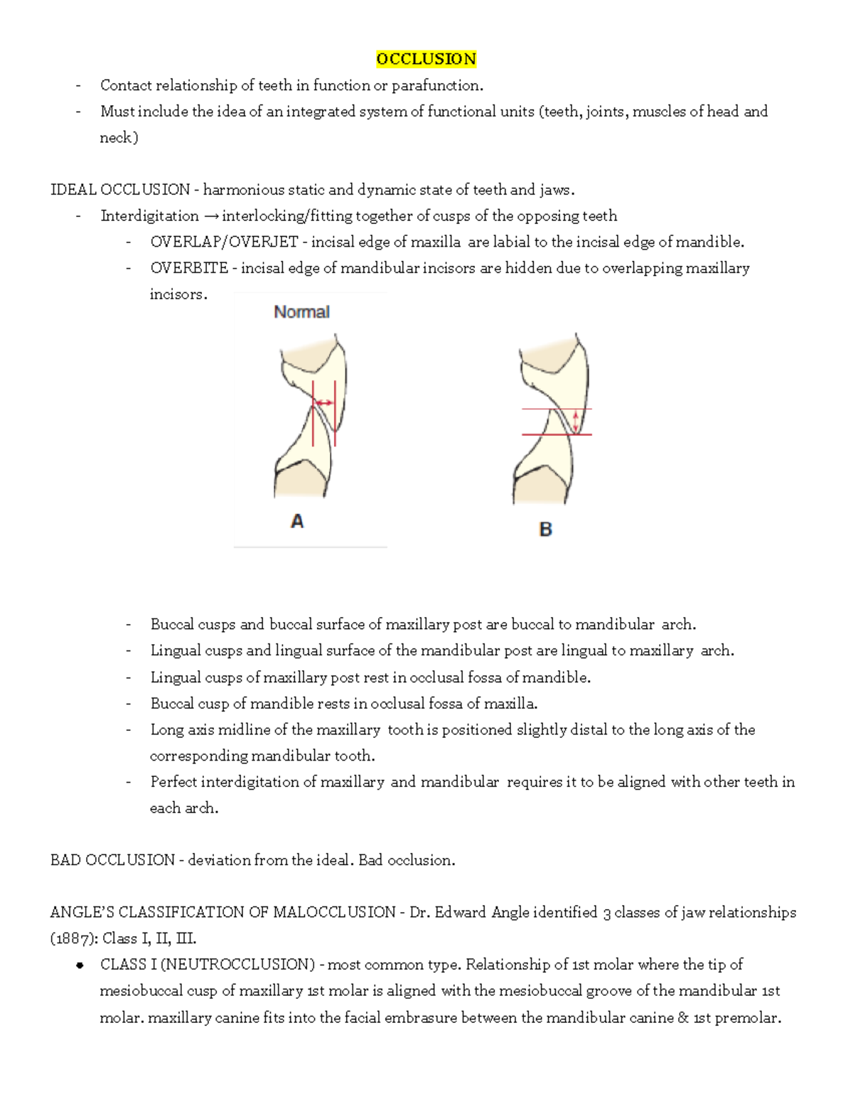 Oral Anatomy Occlusion - OCCLUSION Contact relationship of teeth in ...