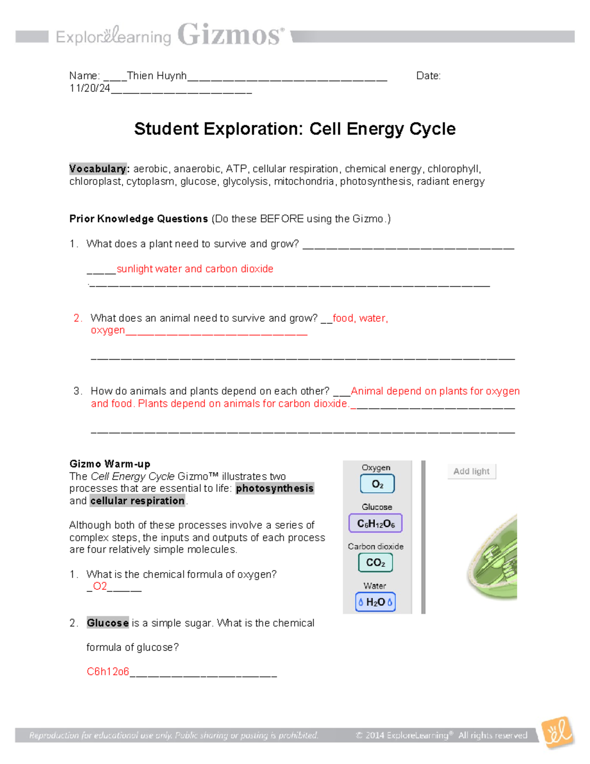 Cell Energy - IS a Cell enery worksheet - Name: Thien Huynh