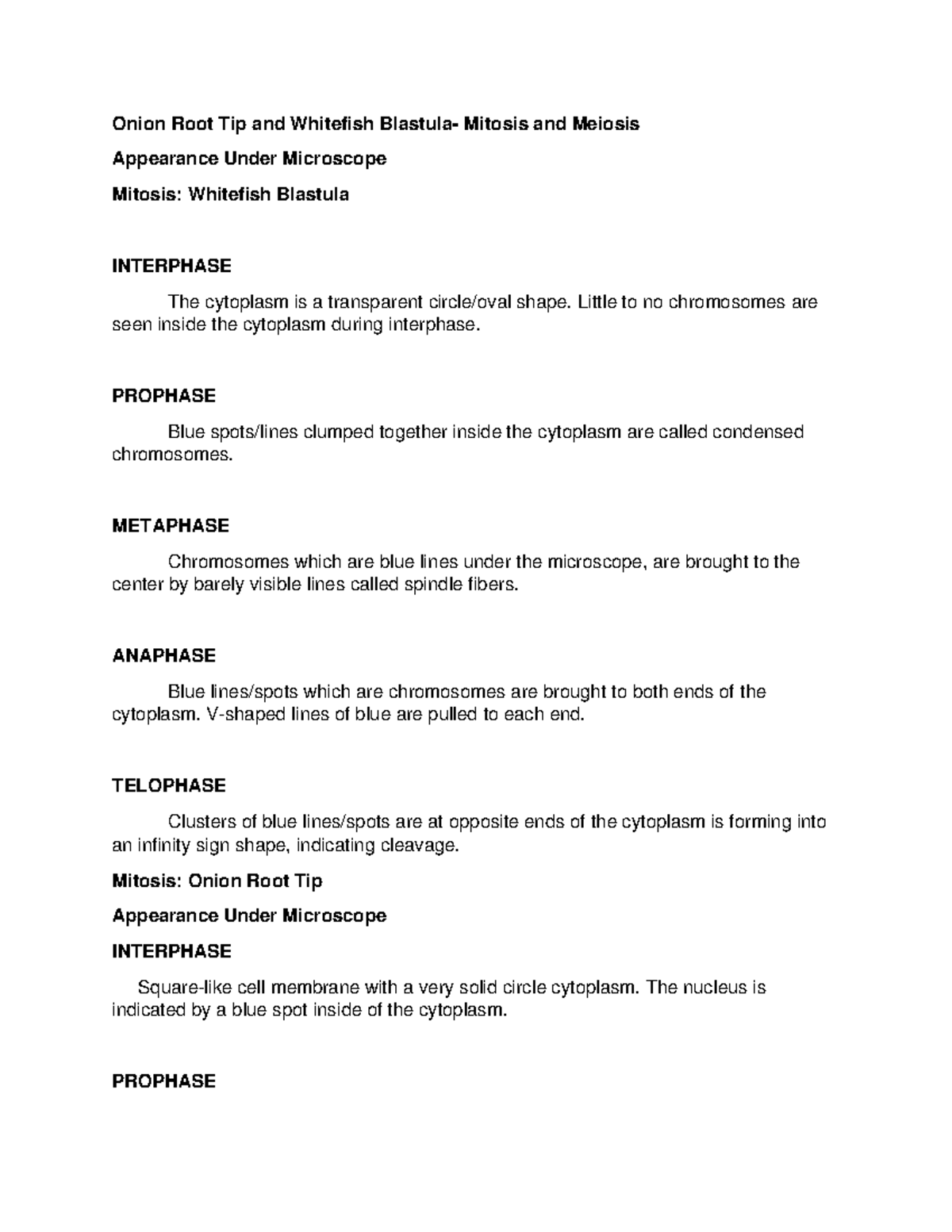 Onion Root Tip and Whitefish Blastula Mitosis and Meiosis Biology