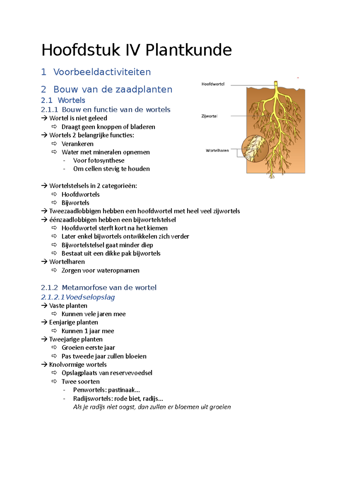 Hoofdstuk IV Plantkunde - 1 Bouw En Functie Van De Wortels Wortel Is ...