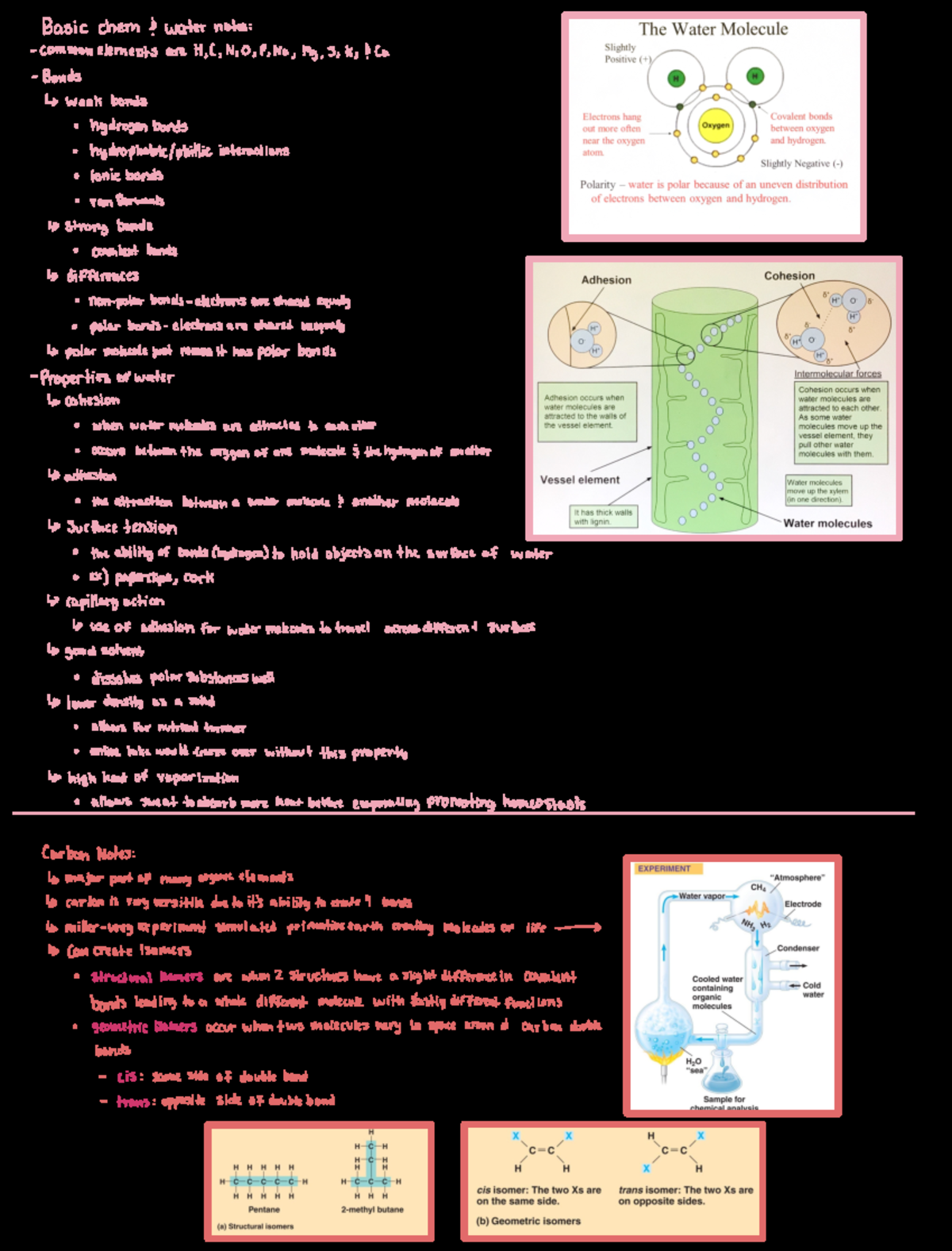 AP Biology Class Notes - Chapter 1 - Basicchem waternotes ...