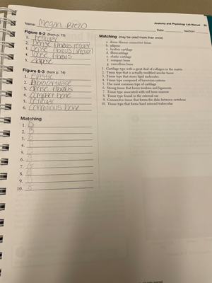 Bio290 V3 Wk2 The Cell Structure Lab Report - BIO/290 V Lab Report ...